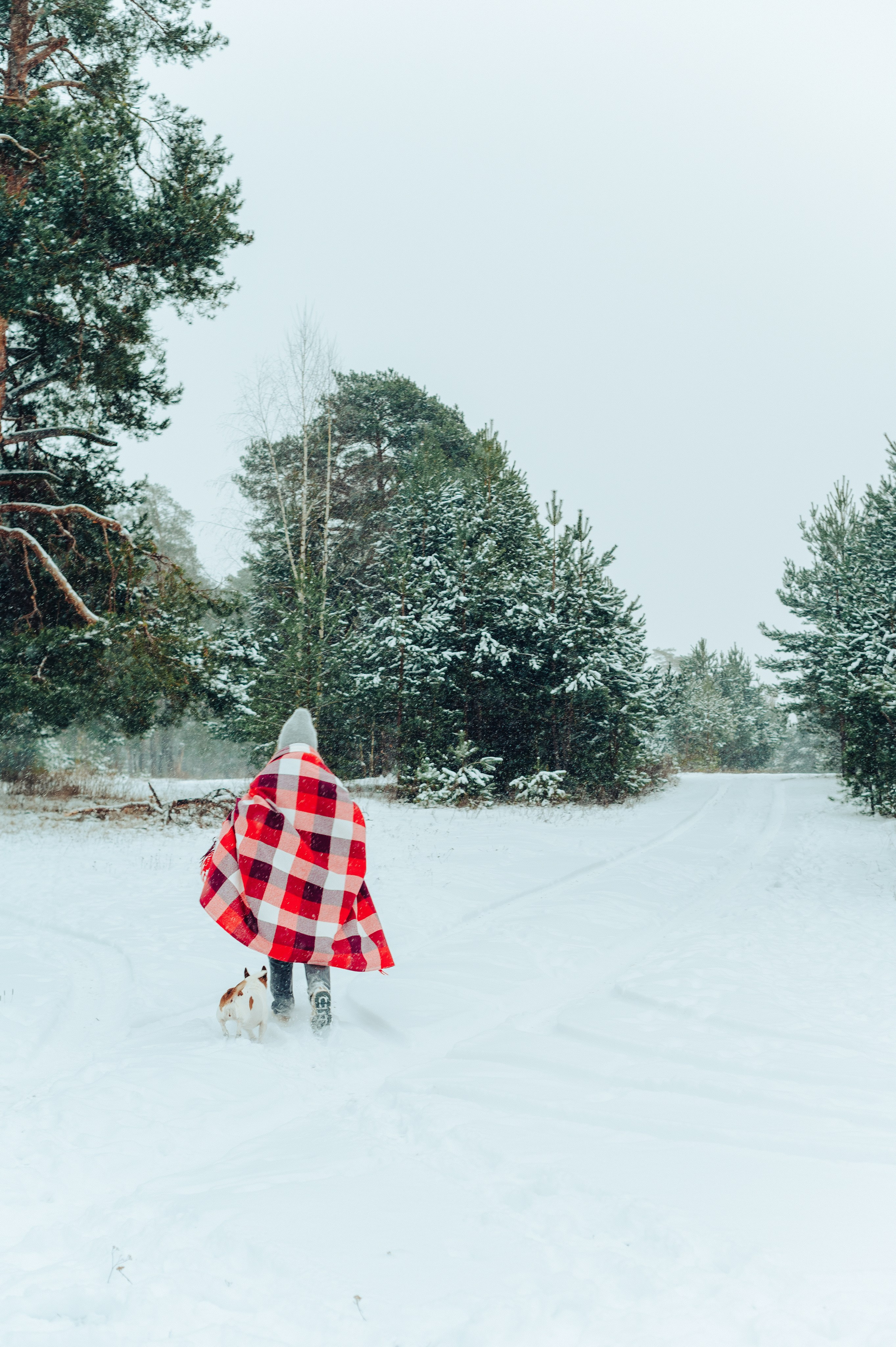 Вика и Денис. Детский и семейный фотограф Катерина Мишина