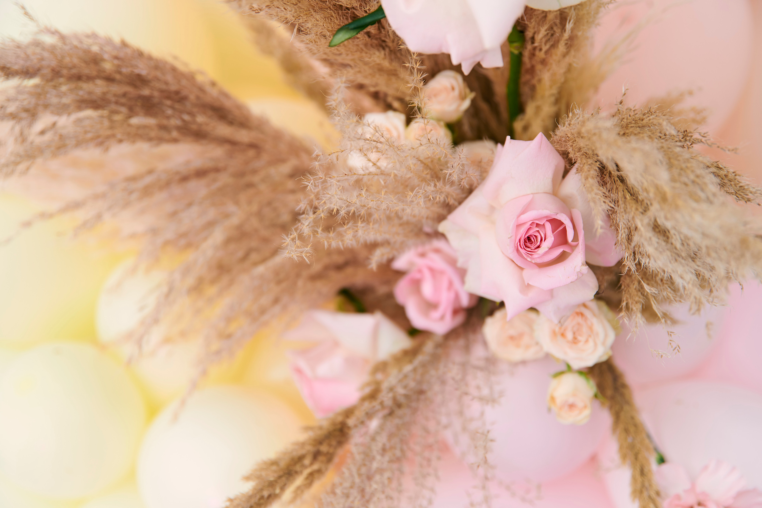 Happy Birthday Даниэла. Фотограф Постольник Дарья