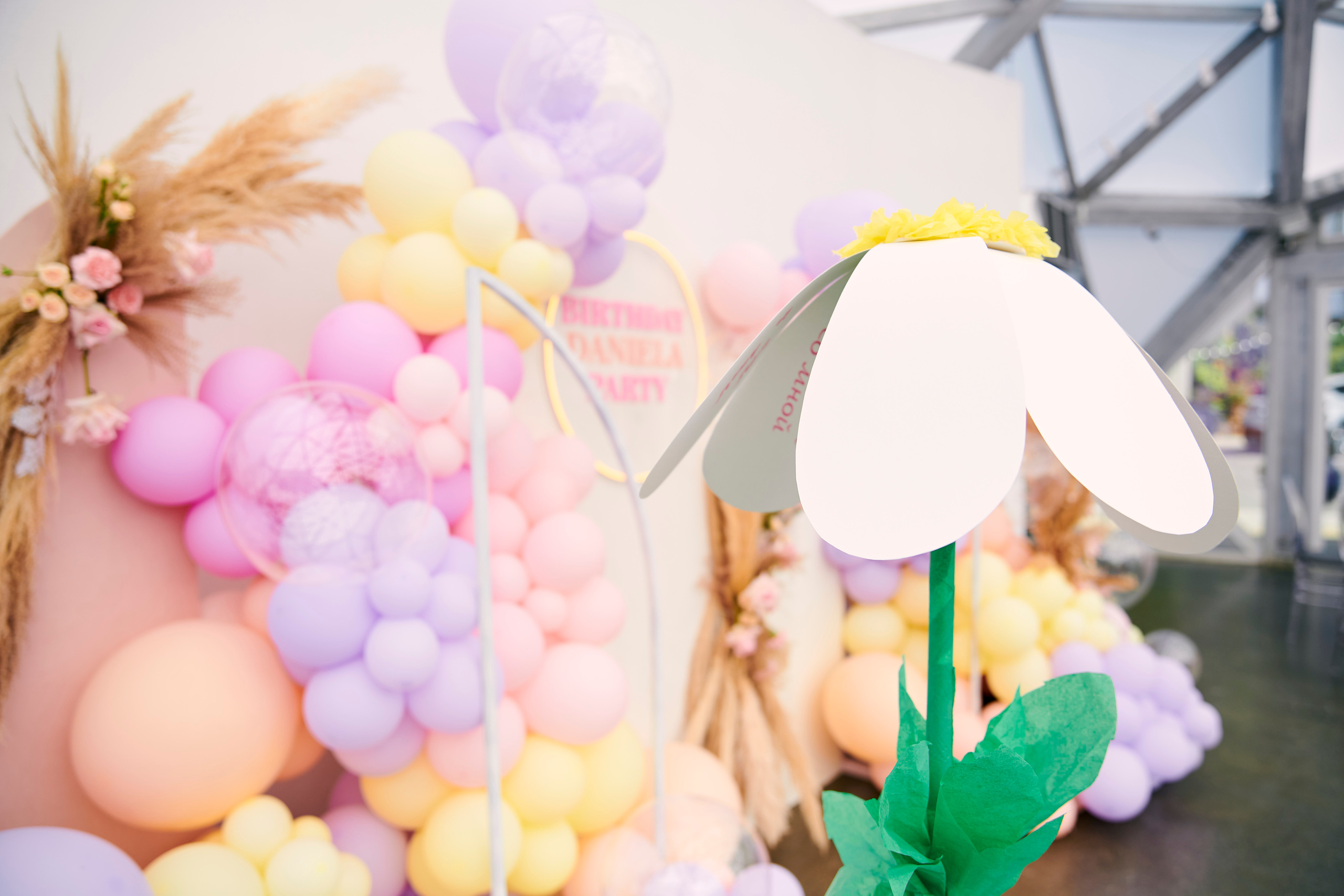 Happy Birthday Даниэла. Фотограф Постольник Дарья