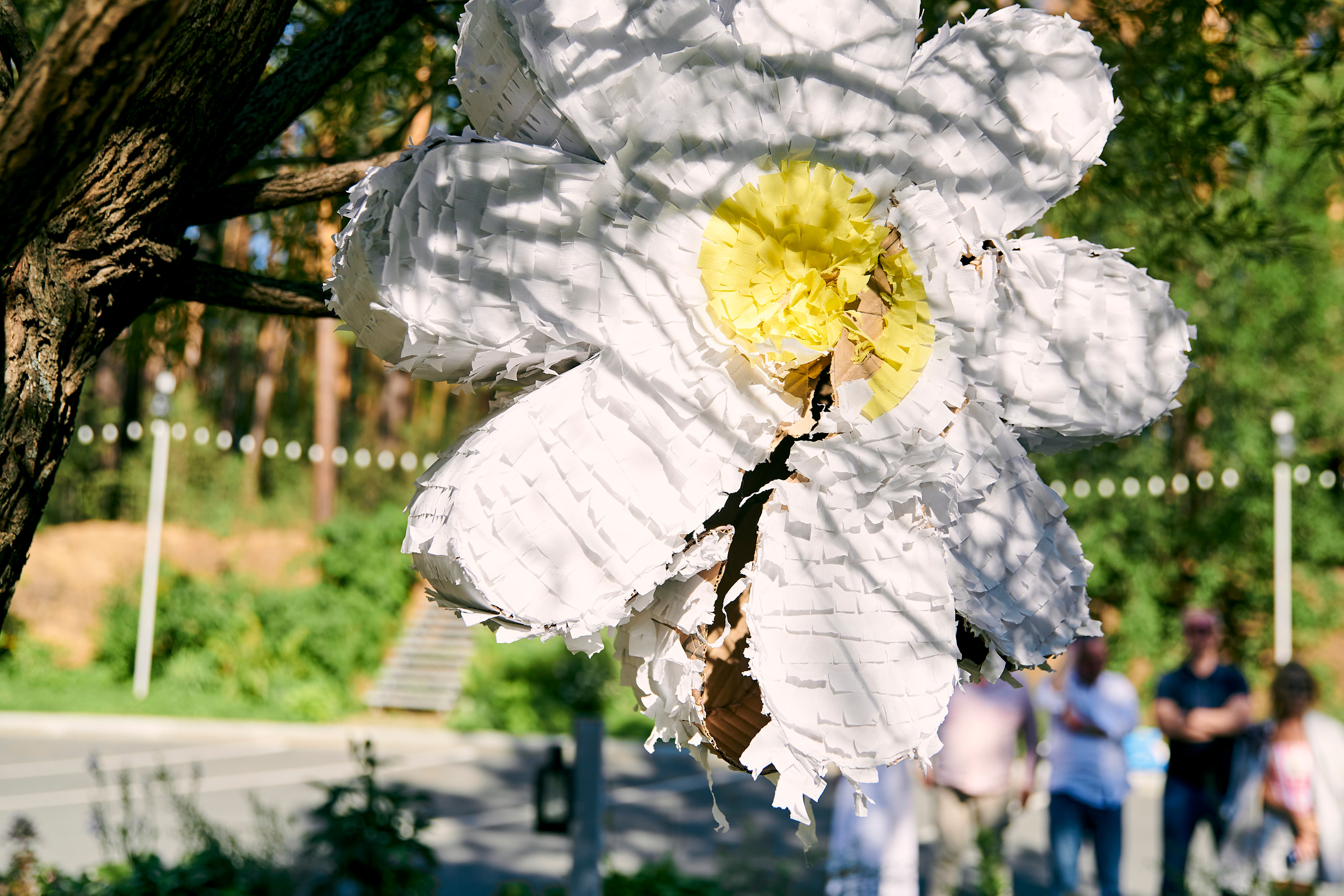 Happy Birthday Даниэла. Фотограф Постольник Дарья
