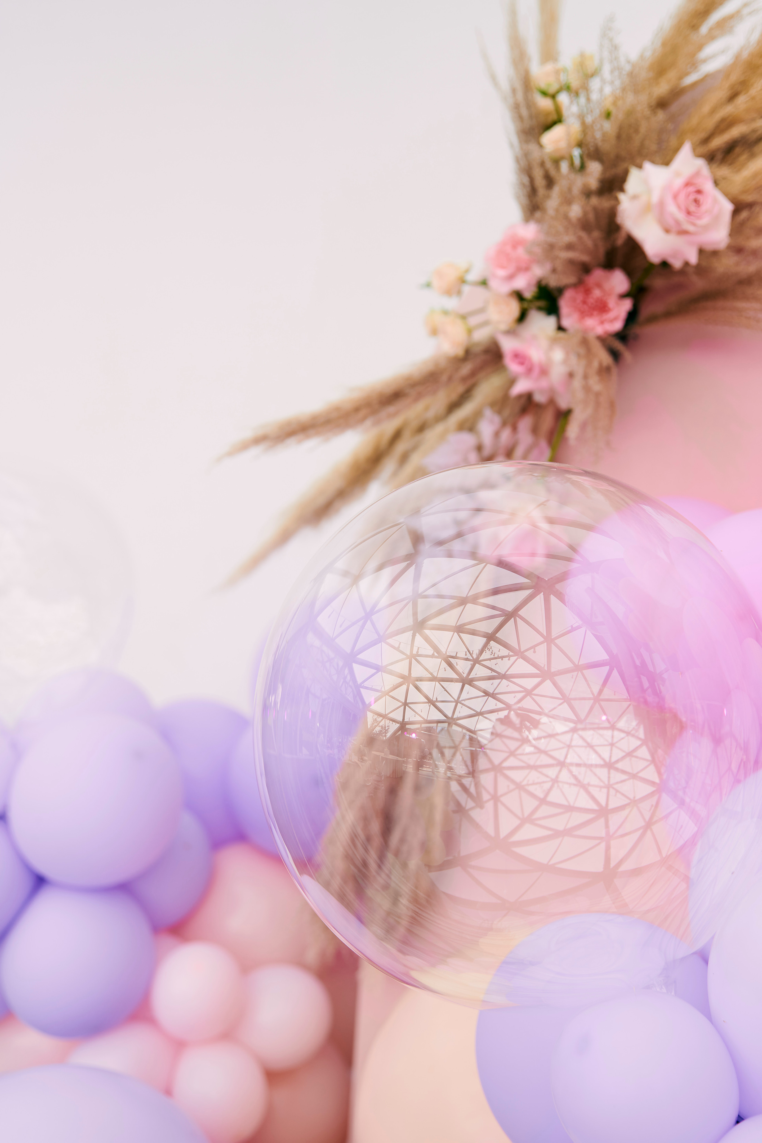 Happy Birthday Даниэла. Фотограф Постольник Дарья