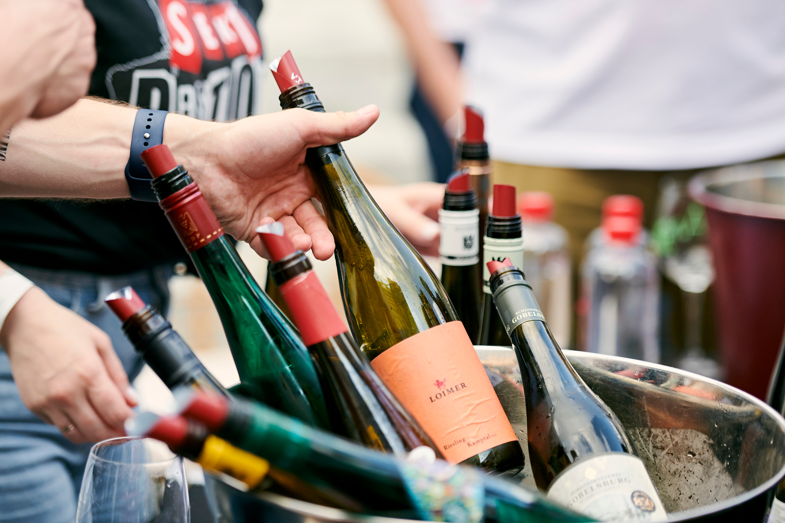 Рислинг роуд. Фотограф Постольник Дарья