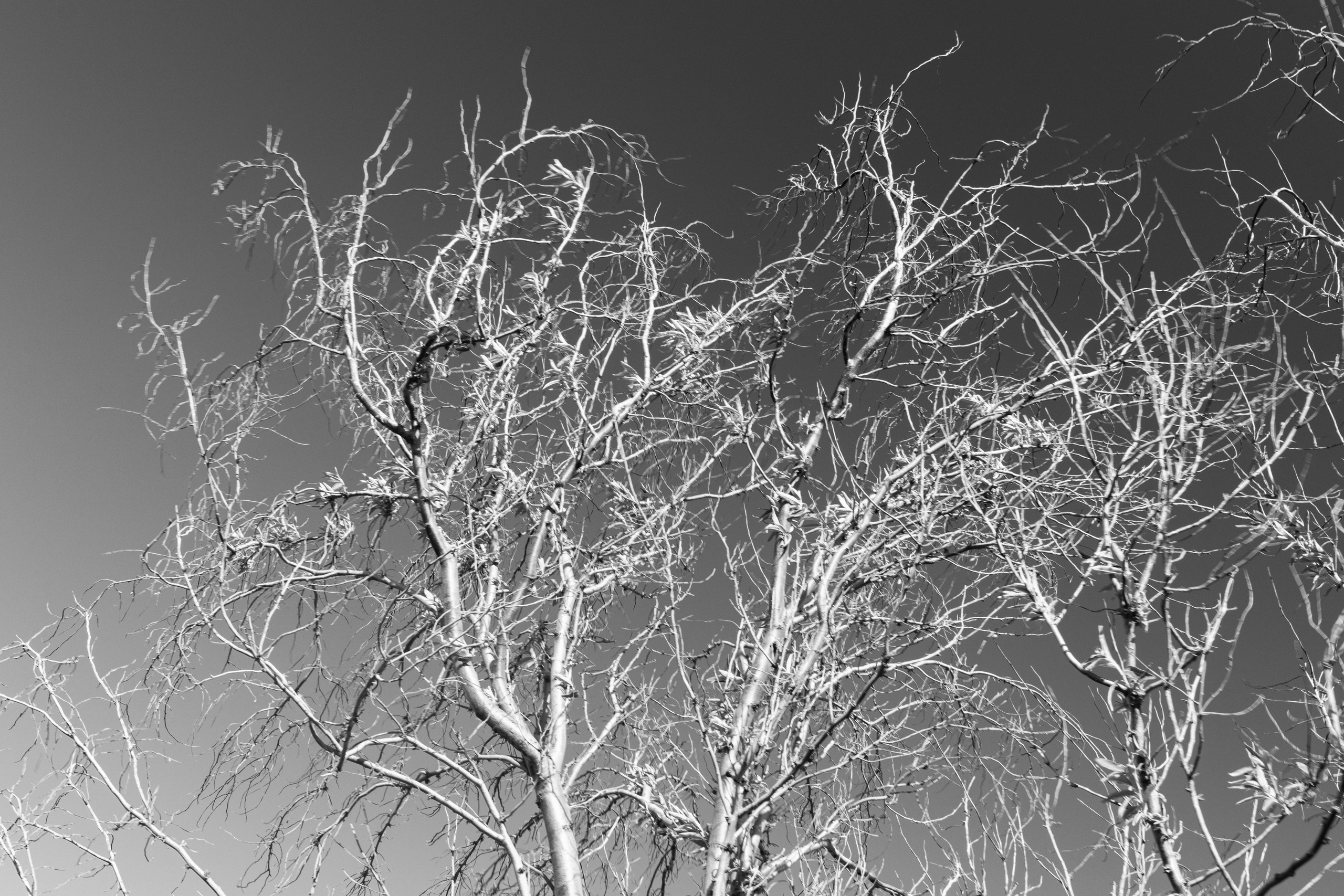 ПРИНТЫ. Виктория Князева| фотограф из Санкт-Петербурга