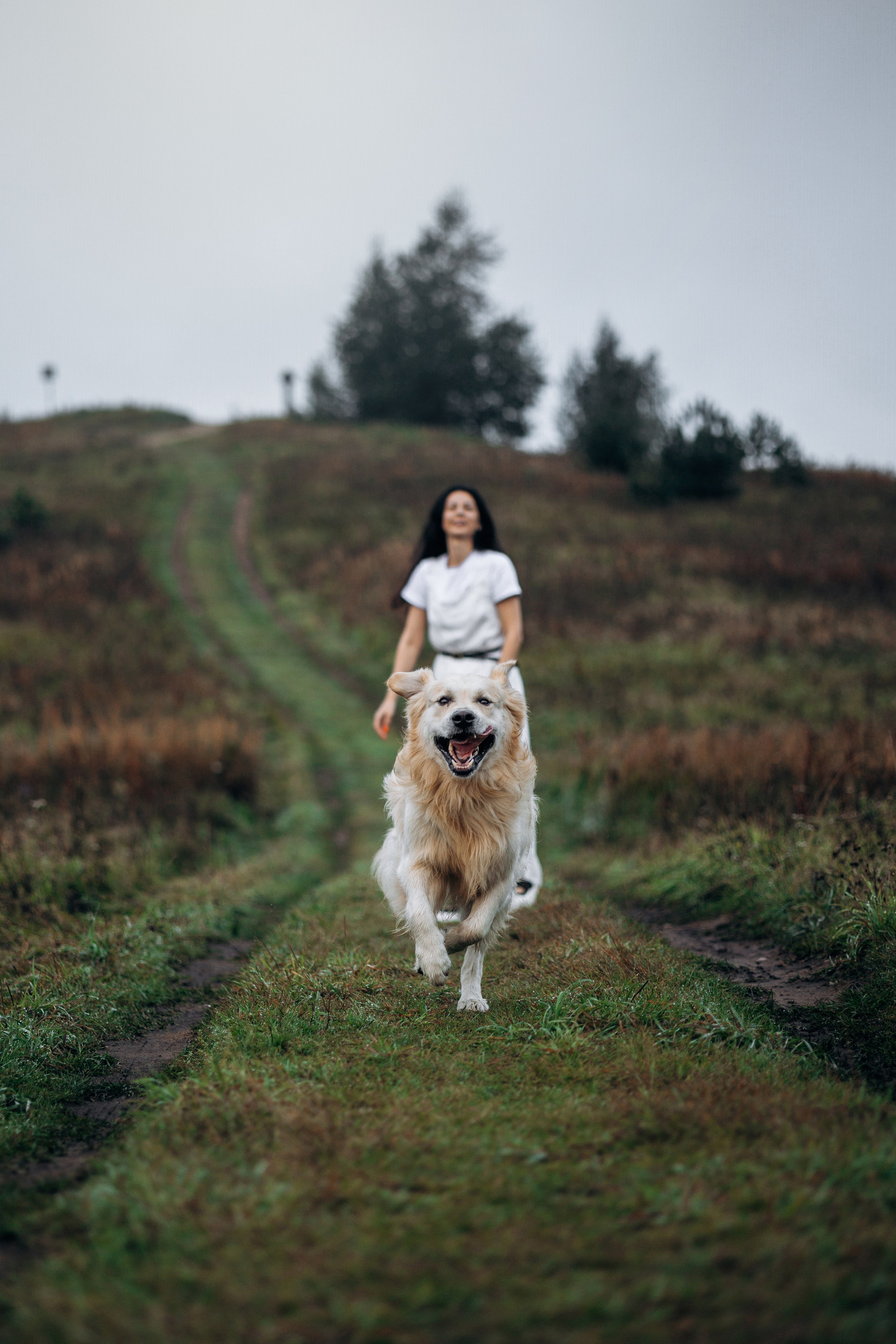 Лёва и его семья. Фотограф — Анималист | Санкт-Петербург
