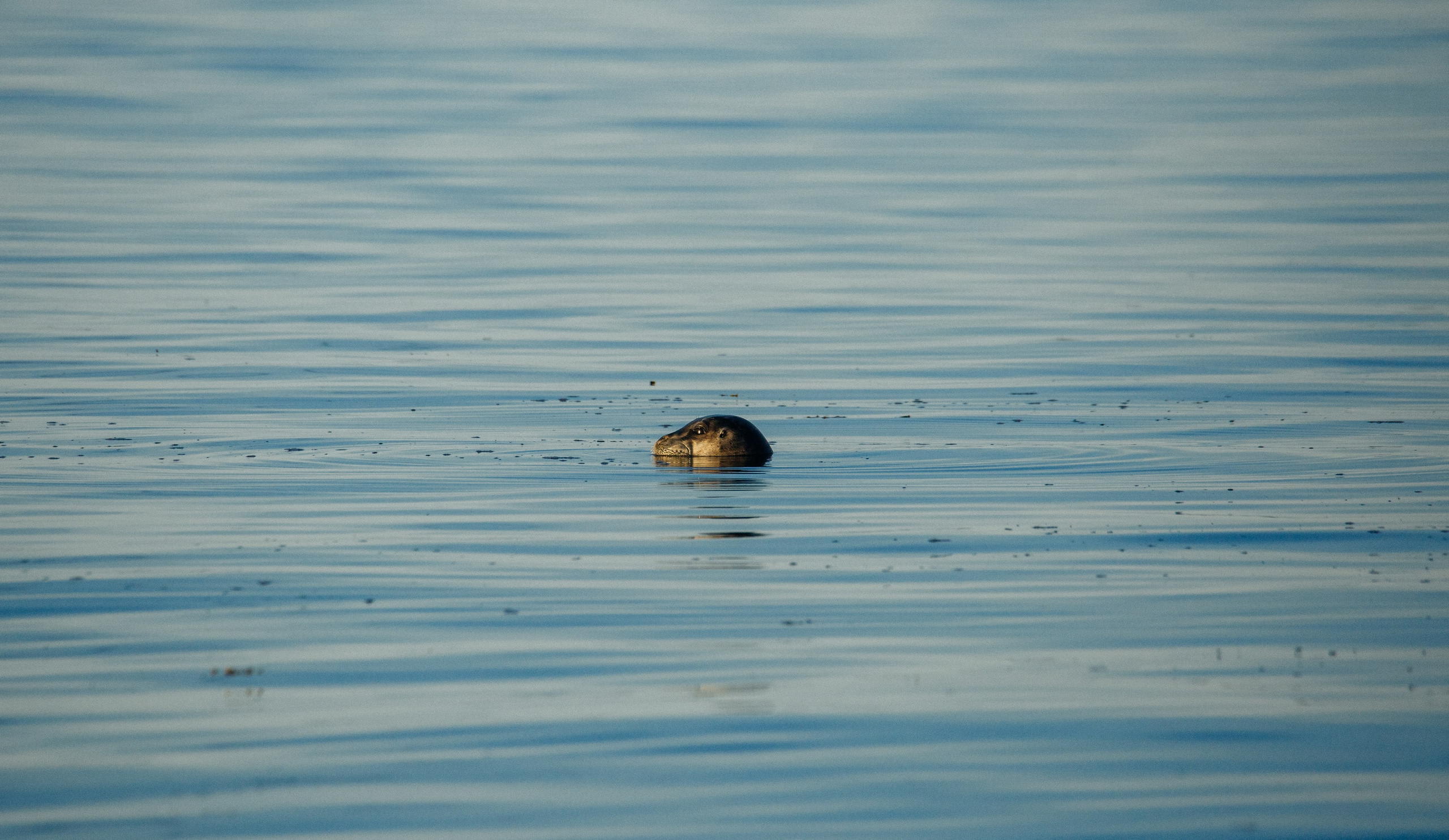ЭТНОПАРК ГЕОГРАФИКА. Создание контента | Фото | Видеосъемка | Александр Ярков