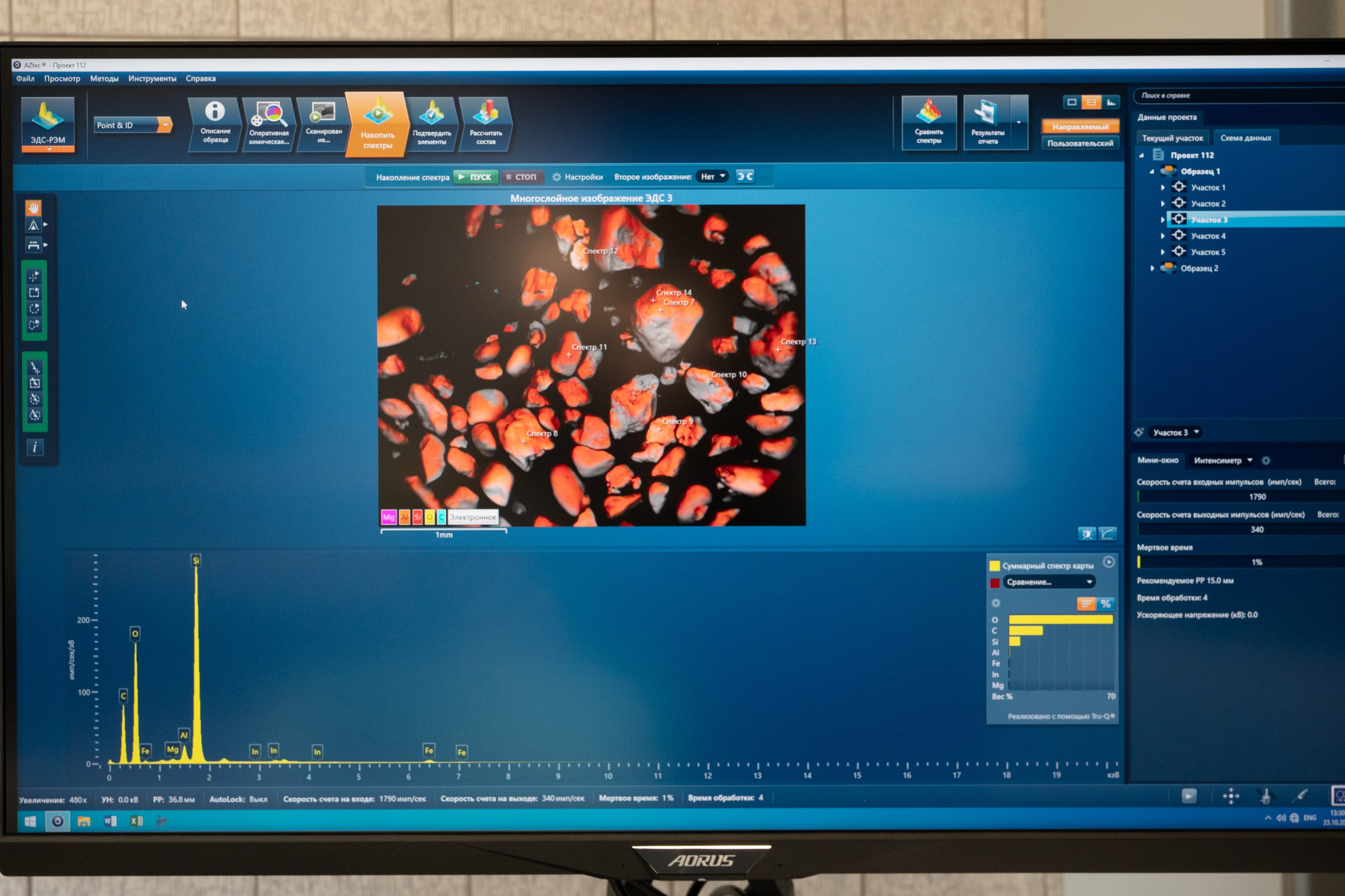 Международная конференция РАН