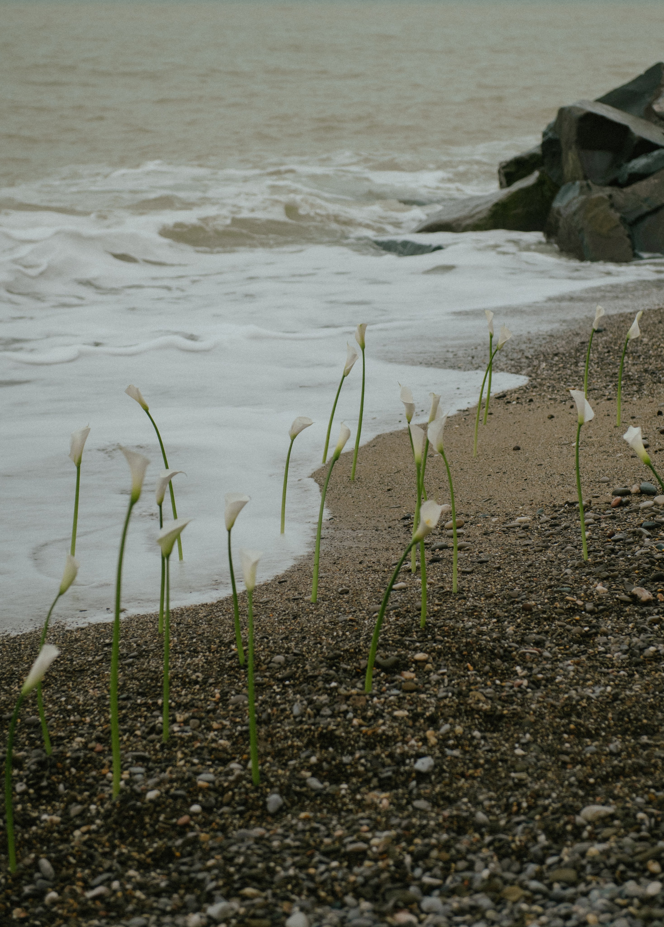 Никита и Анастасия (с.Николаевка). Свадебный, женский, семейный фотограф в Севастополе Юлия Мошенко