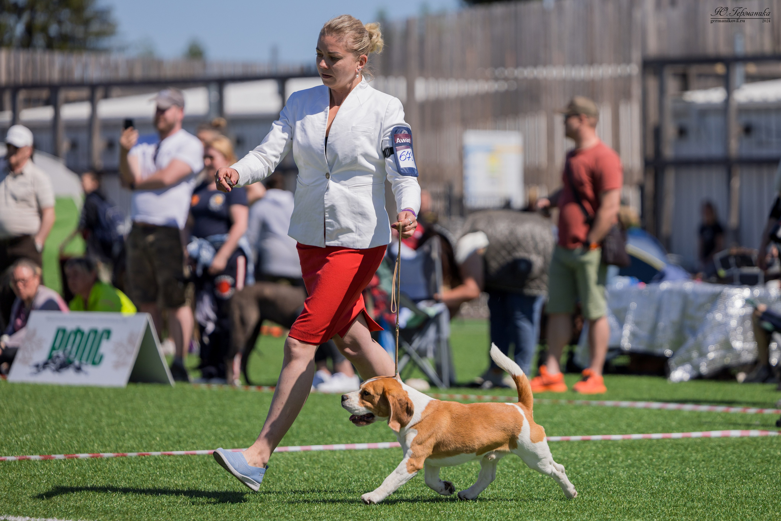 Суздаль 18-19.05.2024. Фотограф-анималист Юлия Германика