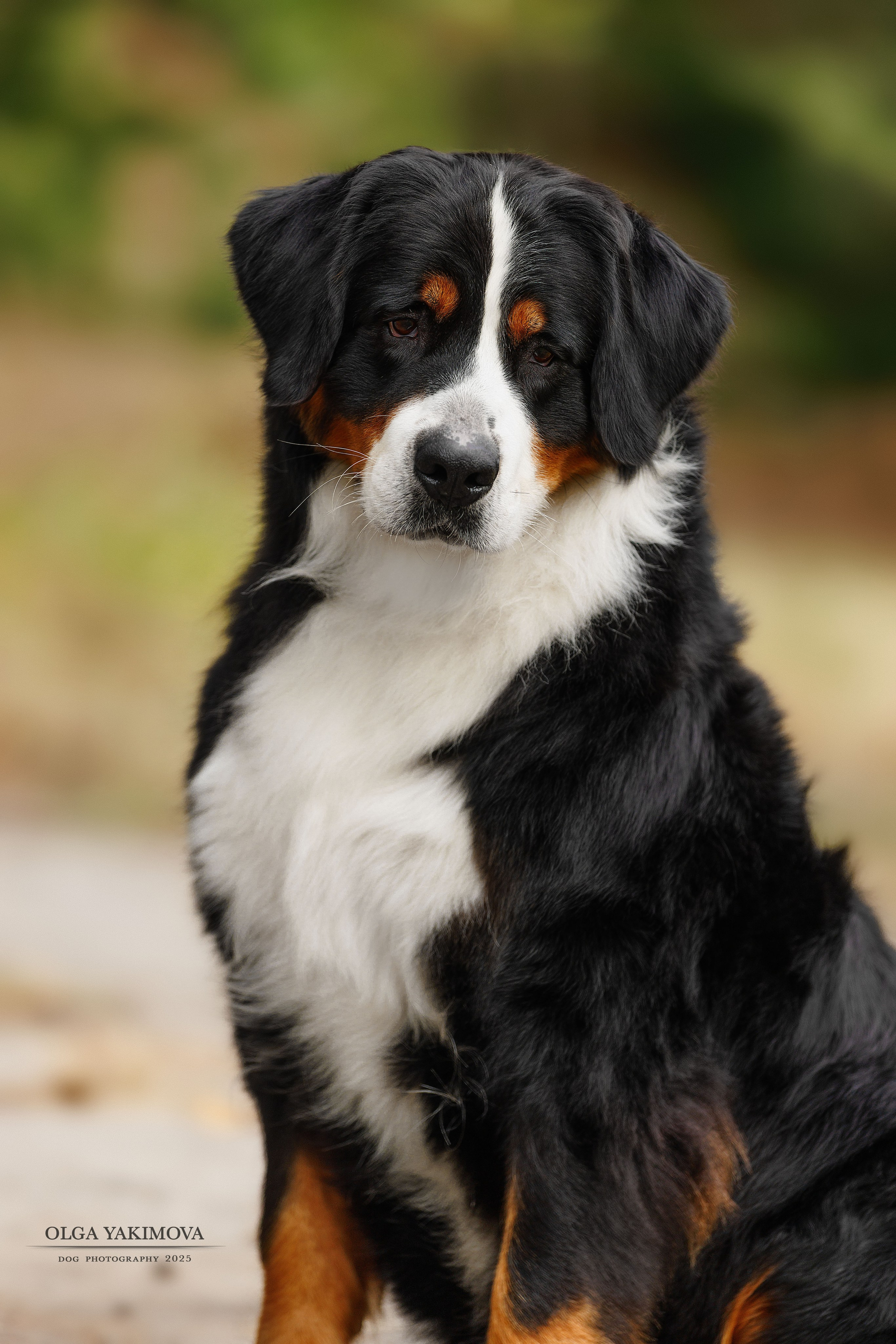 Экстерьер. Фотограф