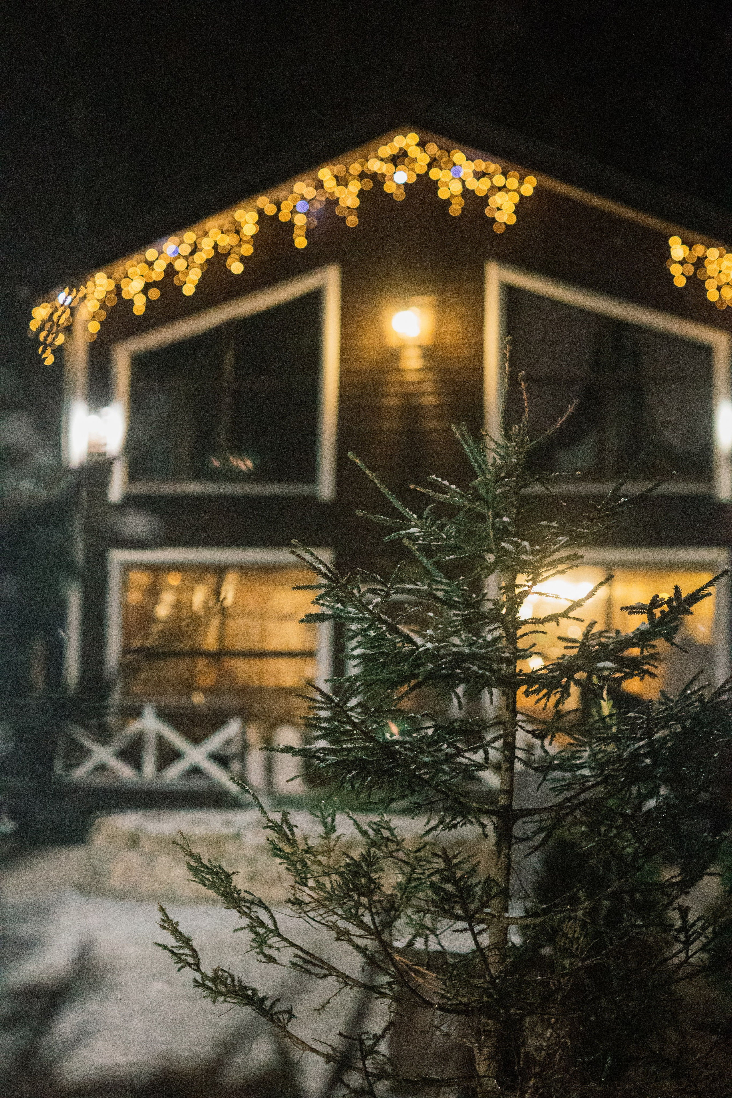 С лошадкой. Семейный фотограф Толстикова Кристина