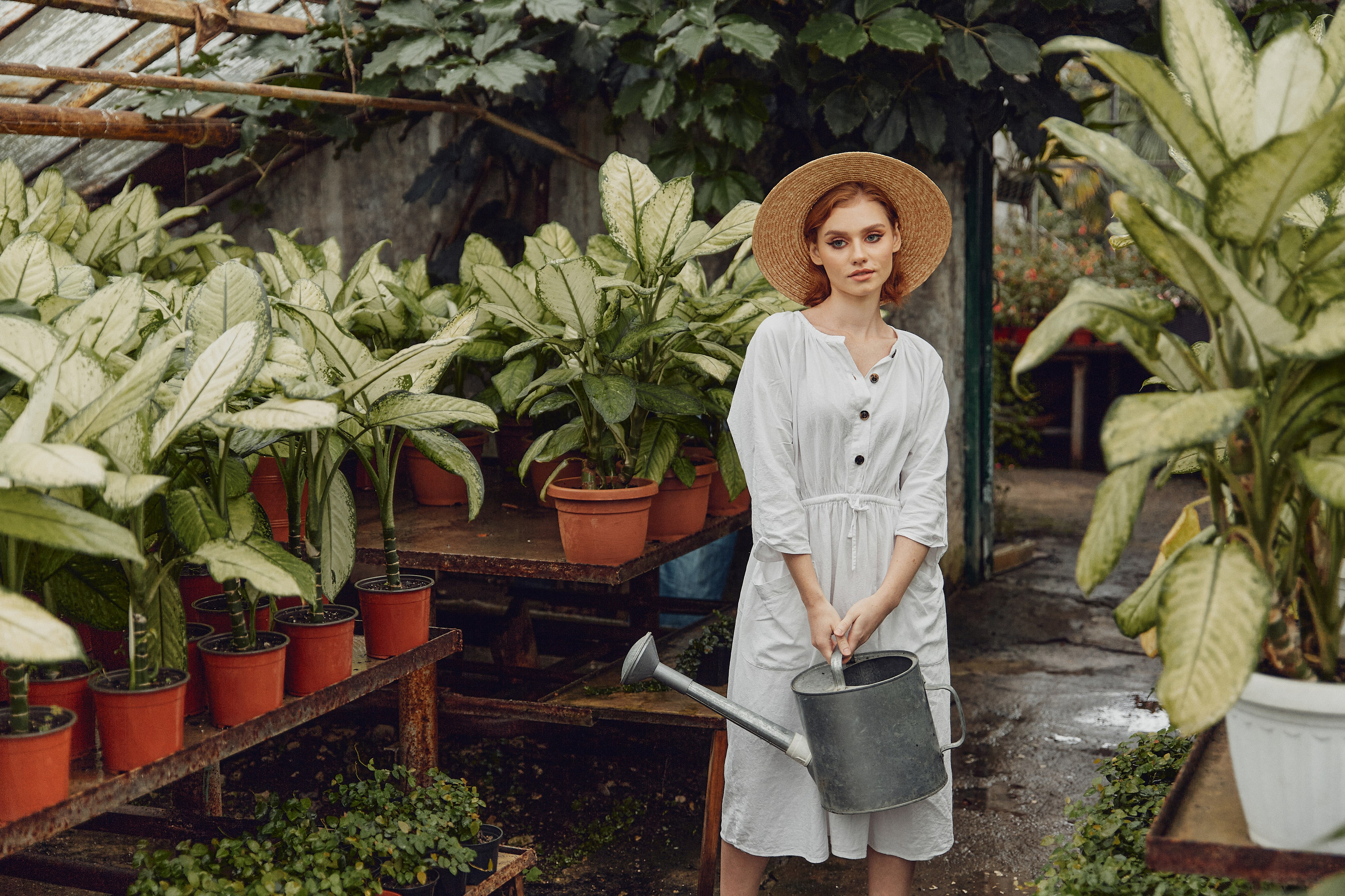 Старая оранжерея