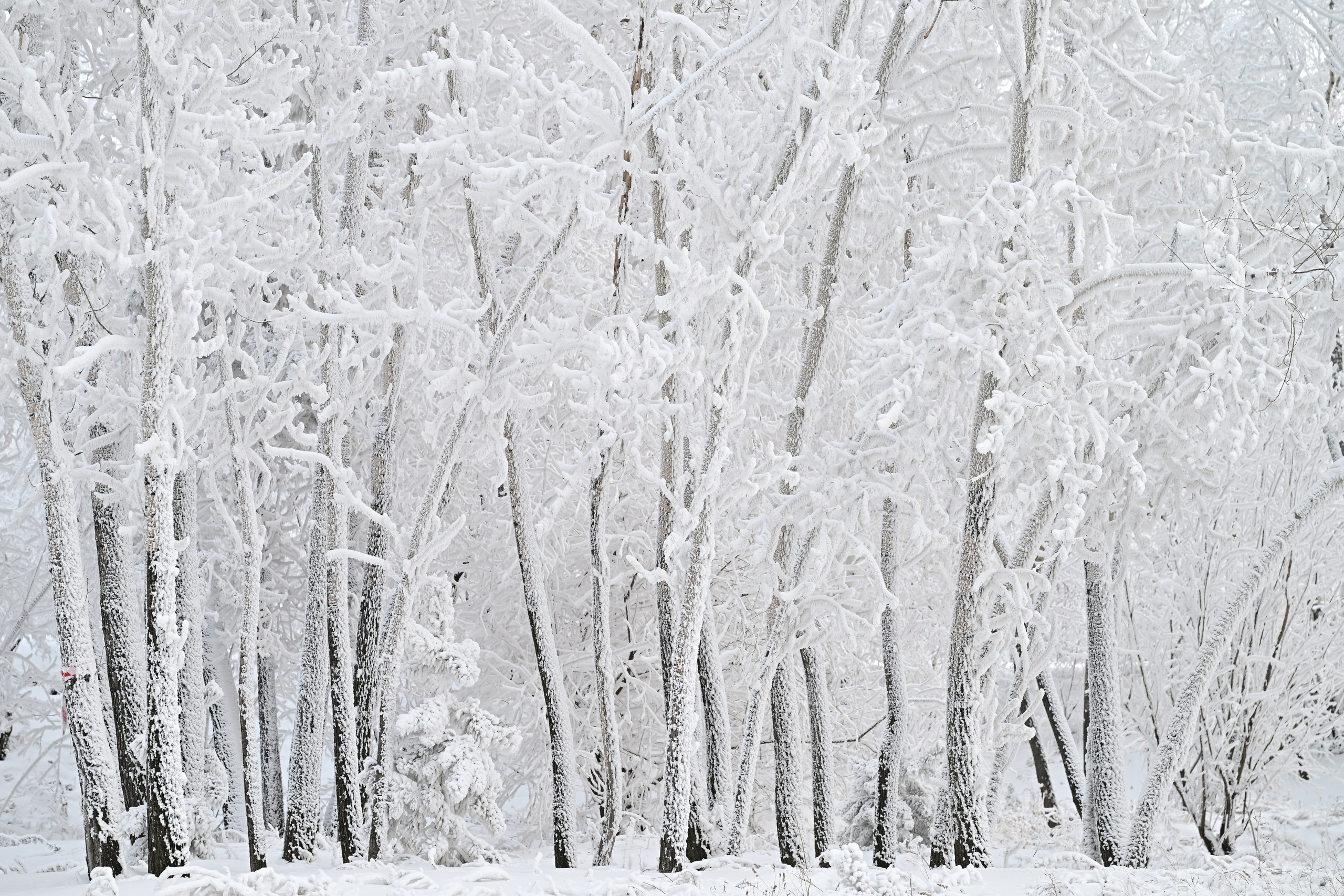 «Пока течет большая вода». Документальный и коммерческий фотограф Влад Некрасов