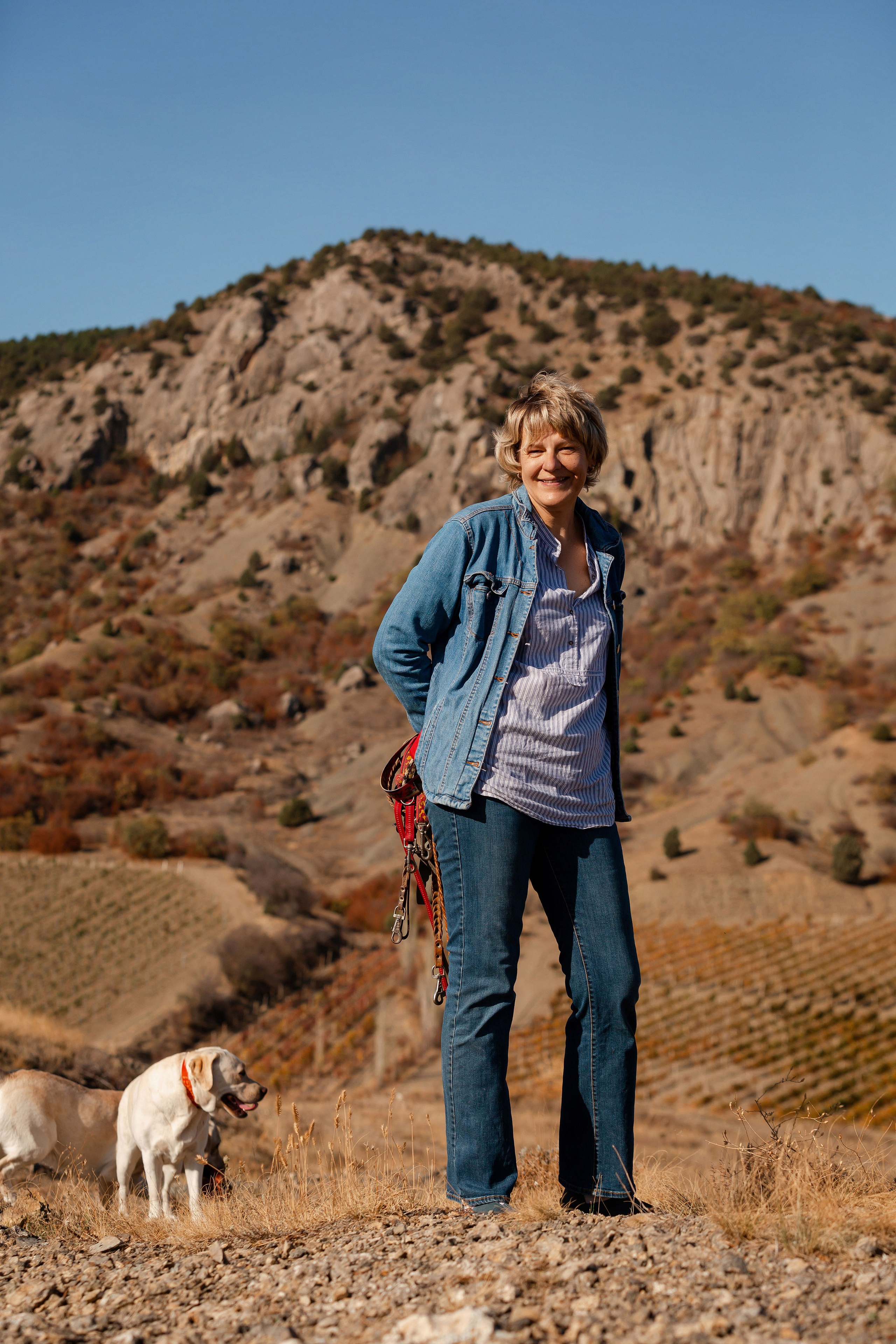 Лабрадоры и горы. Фотограф-анималист в Краснодаре Маша Мельникова