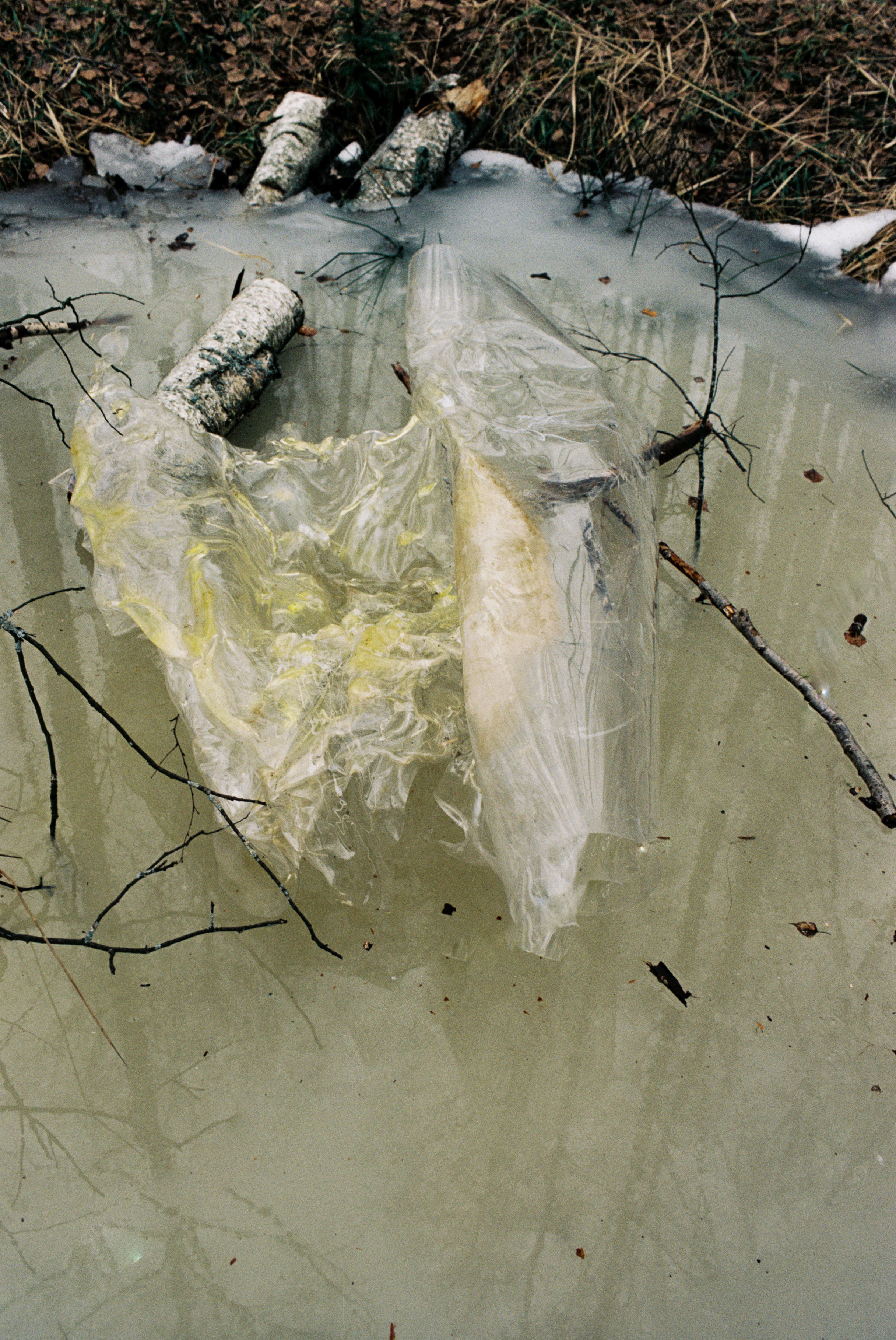 Мария Филимонова. Polinanazar//Полина Назарова, фотохудожник