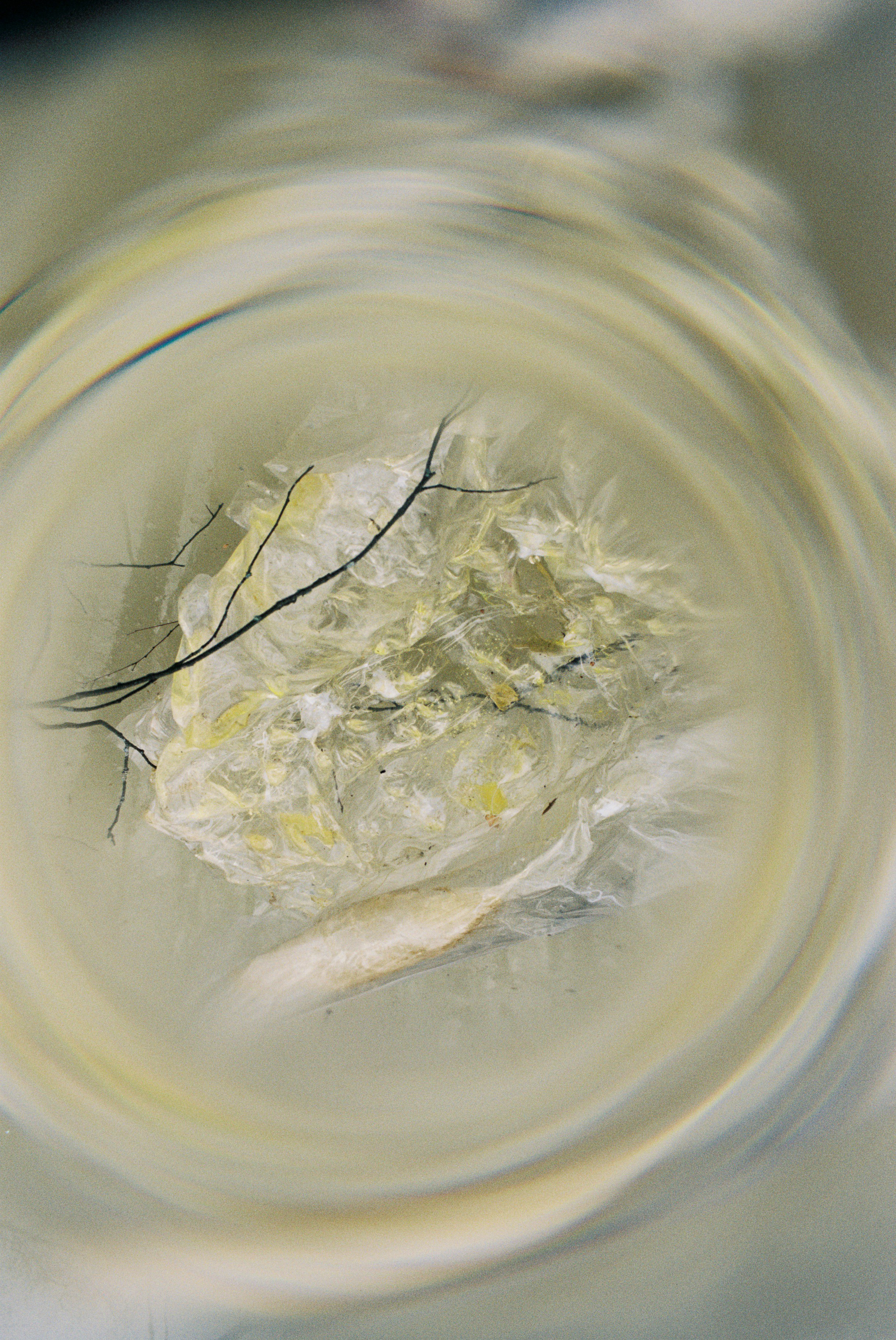 Мария Филимонова. Polinanazar//Полина Назарова, фотохудожник