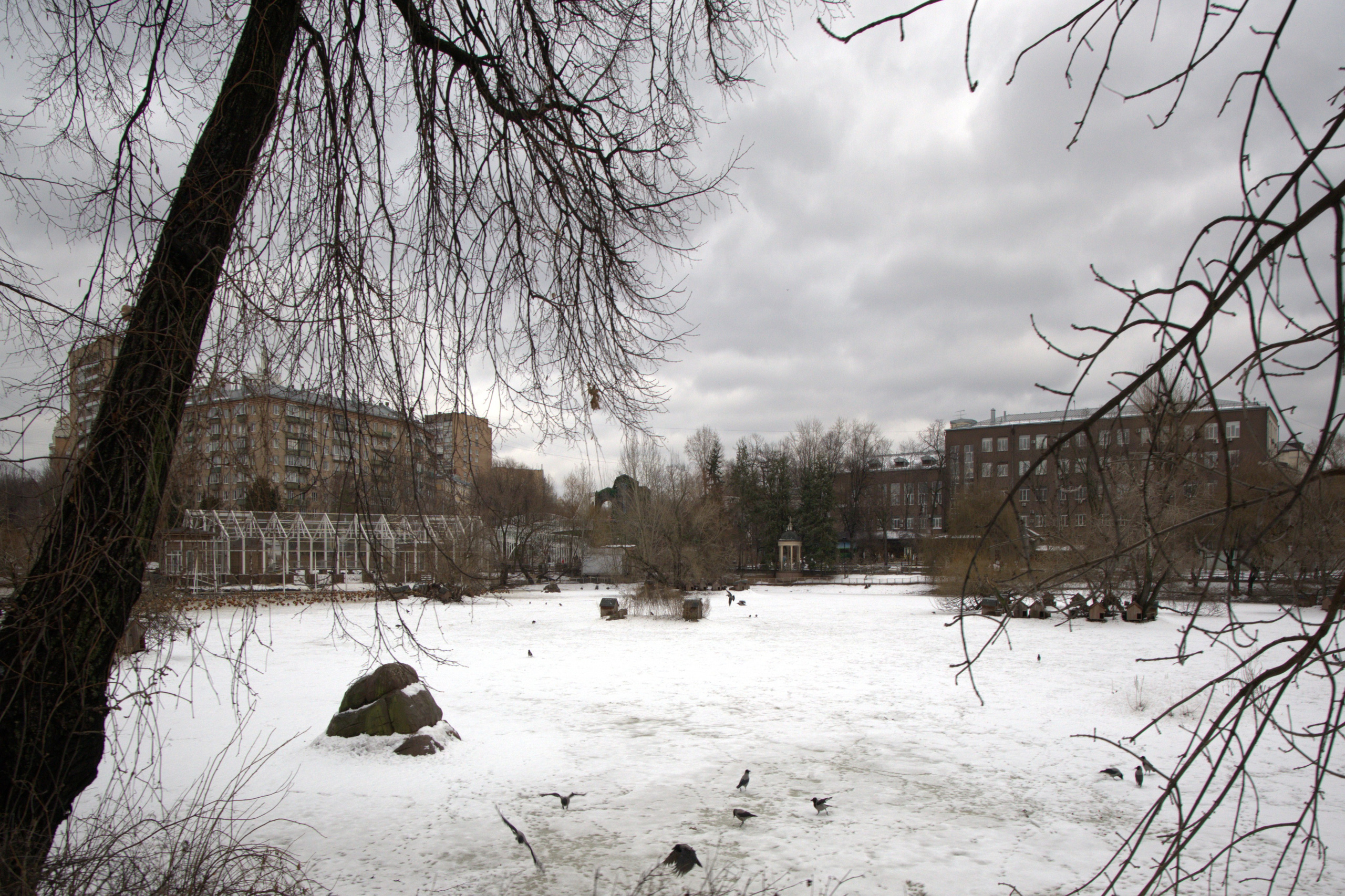 ЗООПАРК. ФОТОГРАФ В МОСКВЕ СТАНИСЛАВ КОБЗЕВ