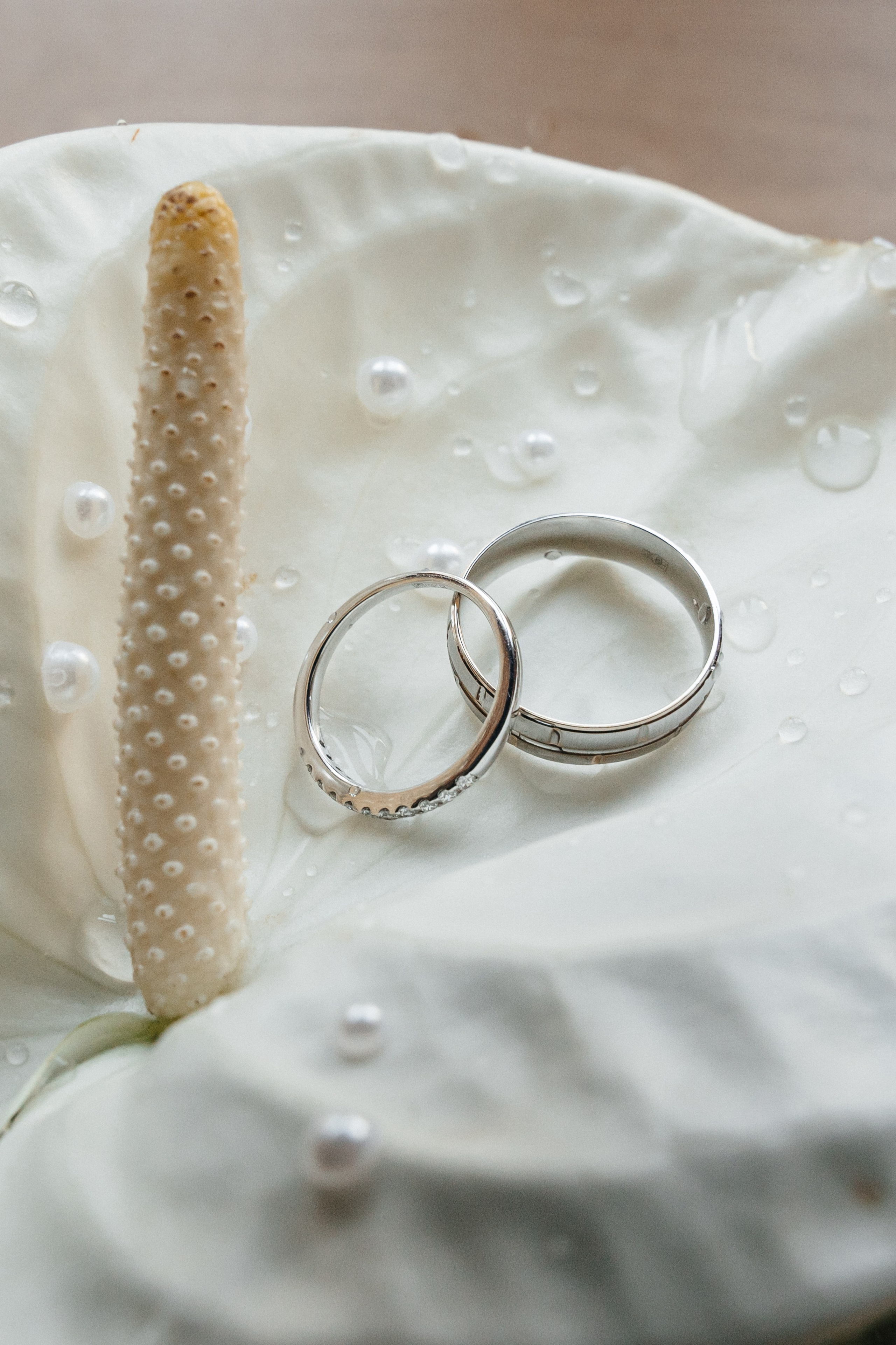 Сергей и Полина. Фотограф Кирилл Бабий