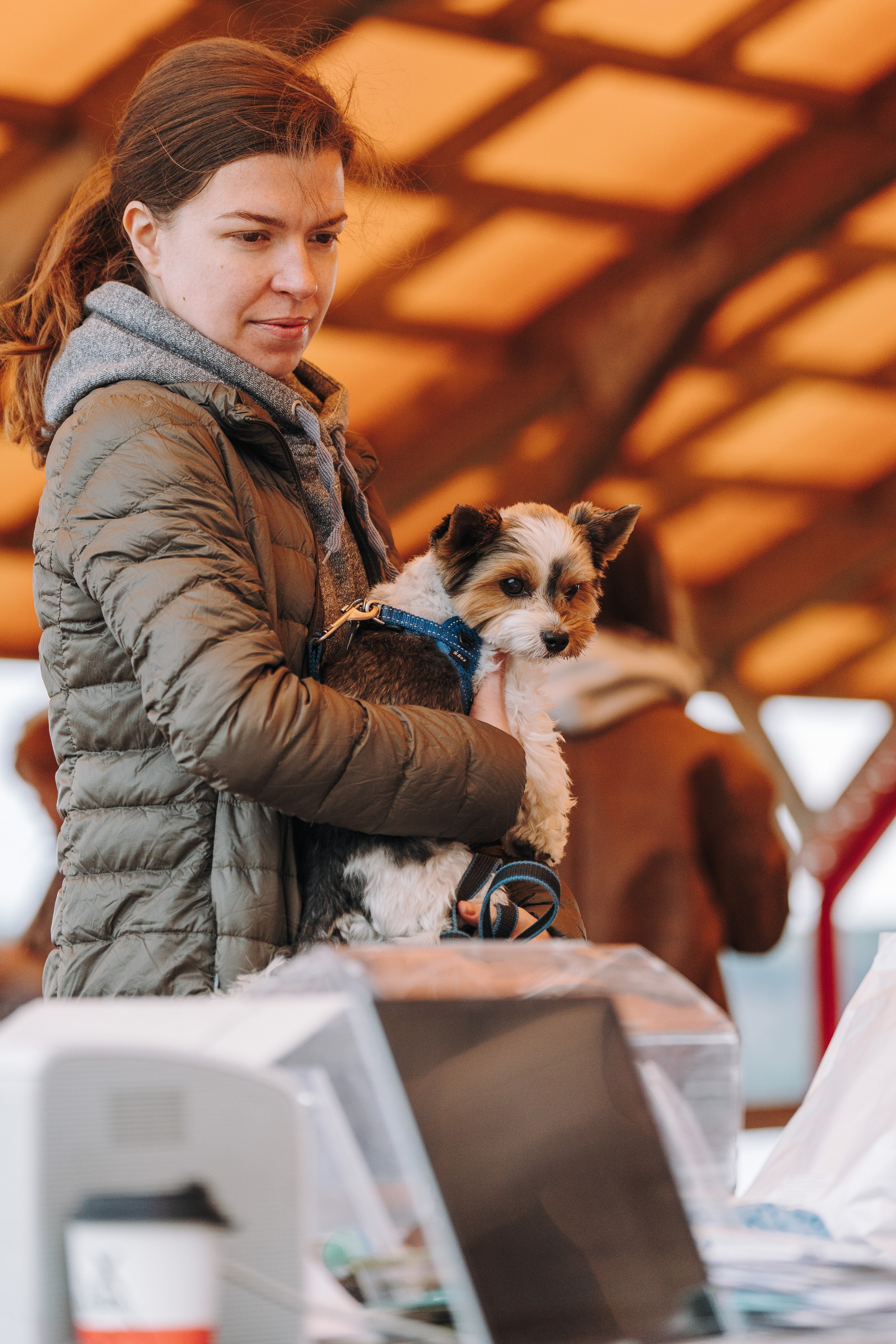 Соревнования по ноузворку в Лосево. Фотограф анималист в Спб недорого Олеся Майорова