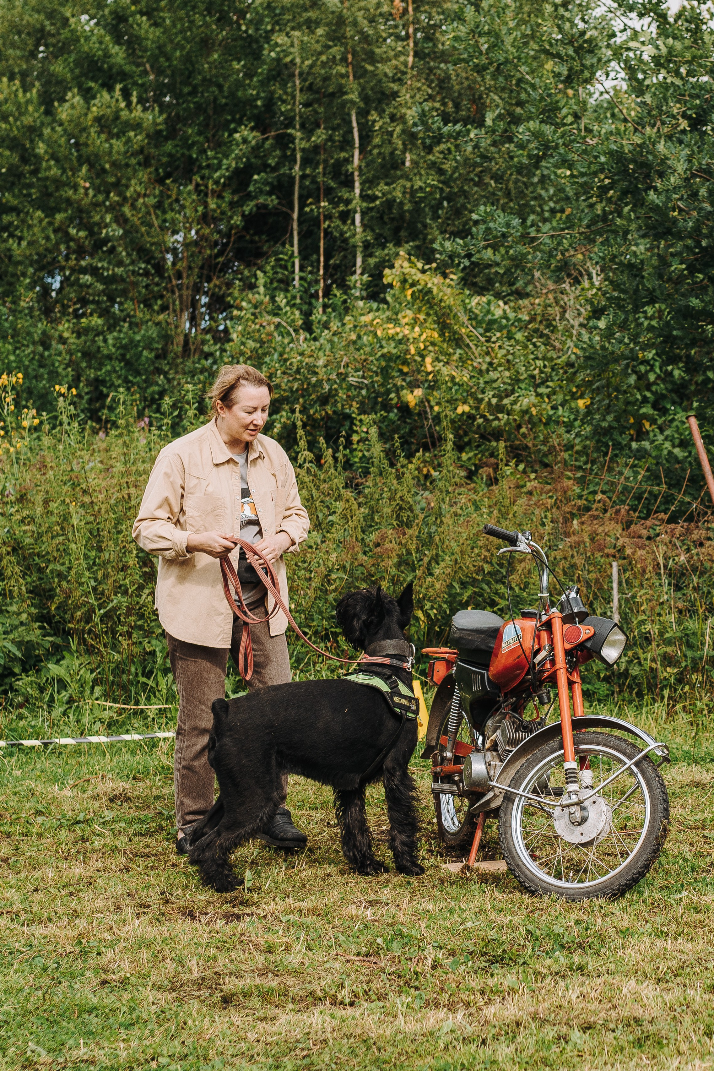Соревнования по ноузворку в Новожилово. Фотограф анималист в Спб недорого Олеся Майорова