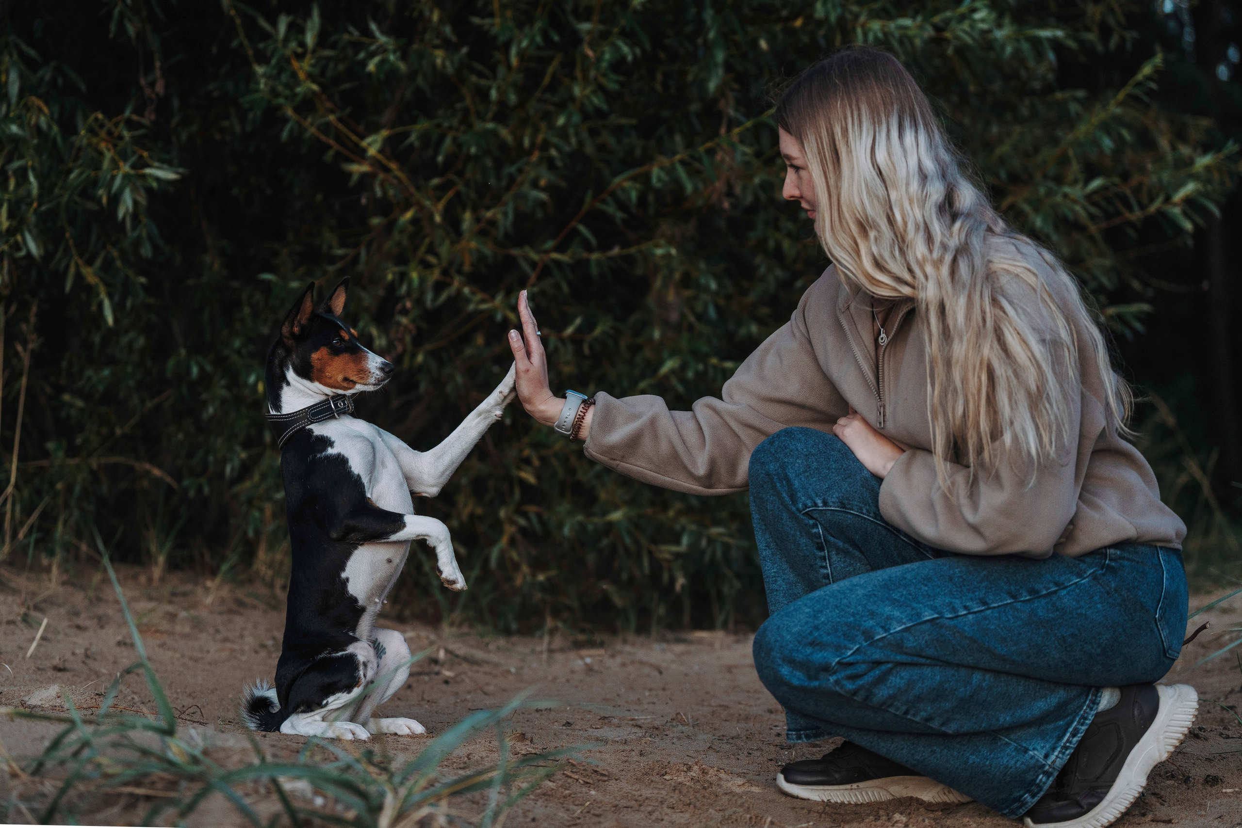 Екатерина и Дива. Фотограф анималист в Спб недорого Олеся Майорова
