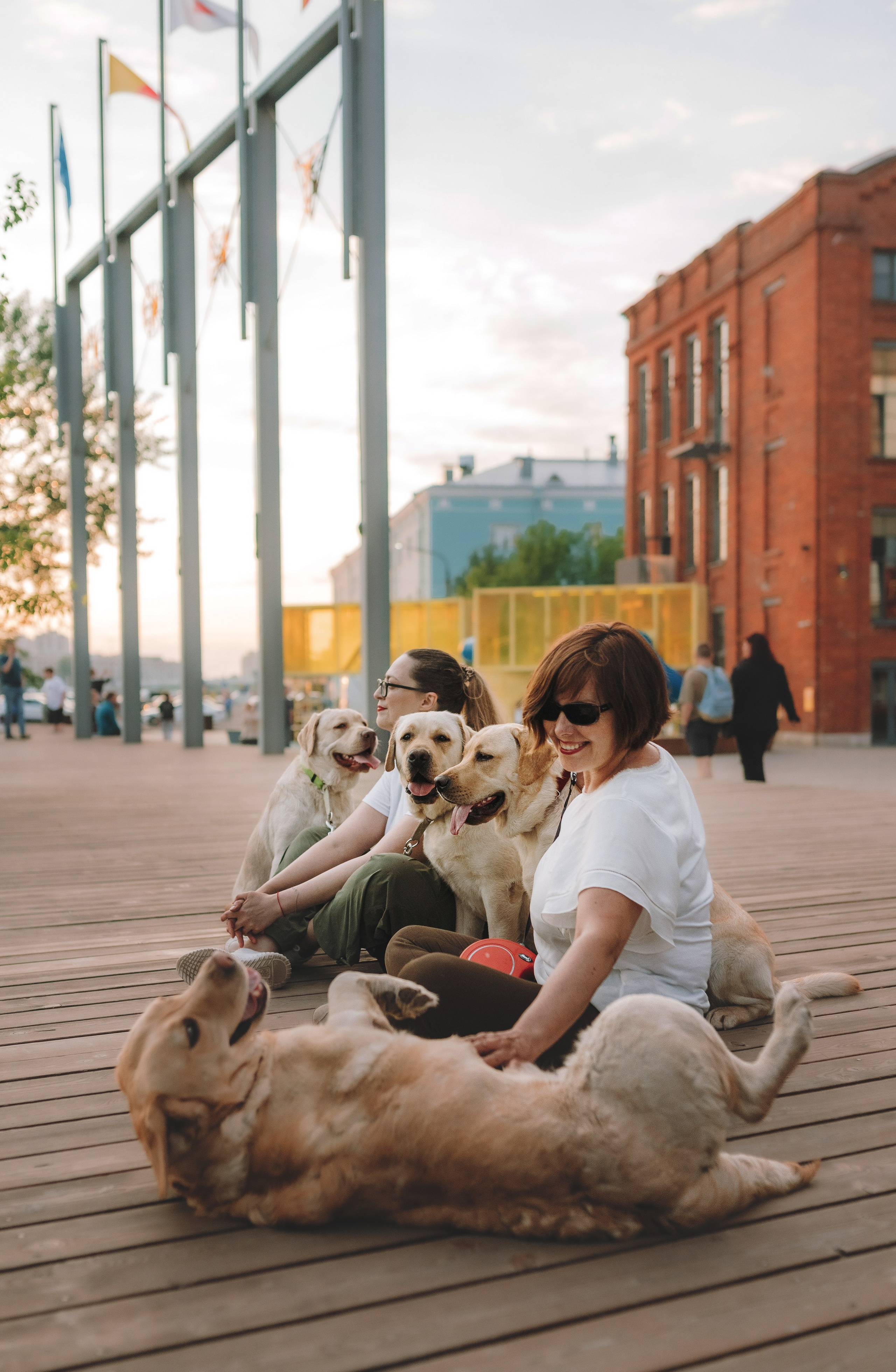 Фотосъёмка с вашими питомцами. Фотограф анималист в Спб недорого Олеся Майорова