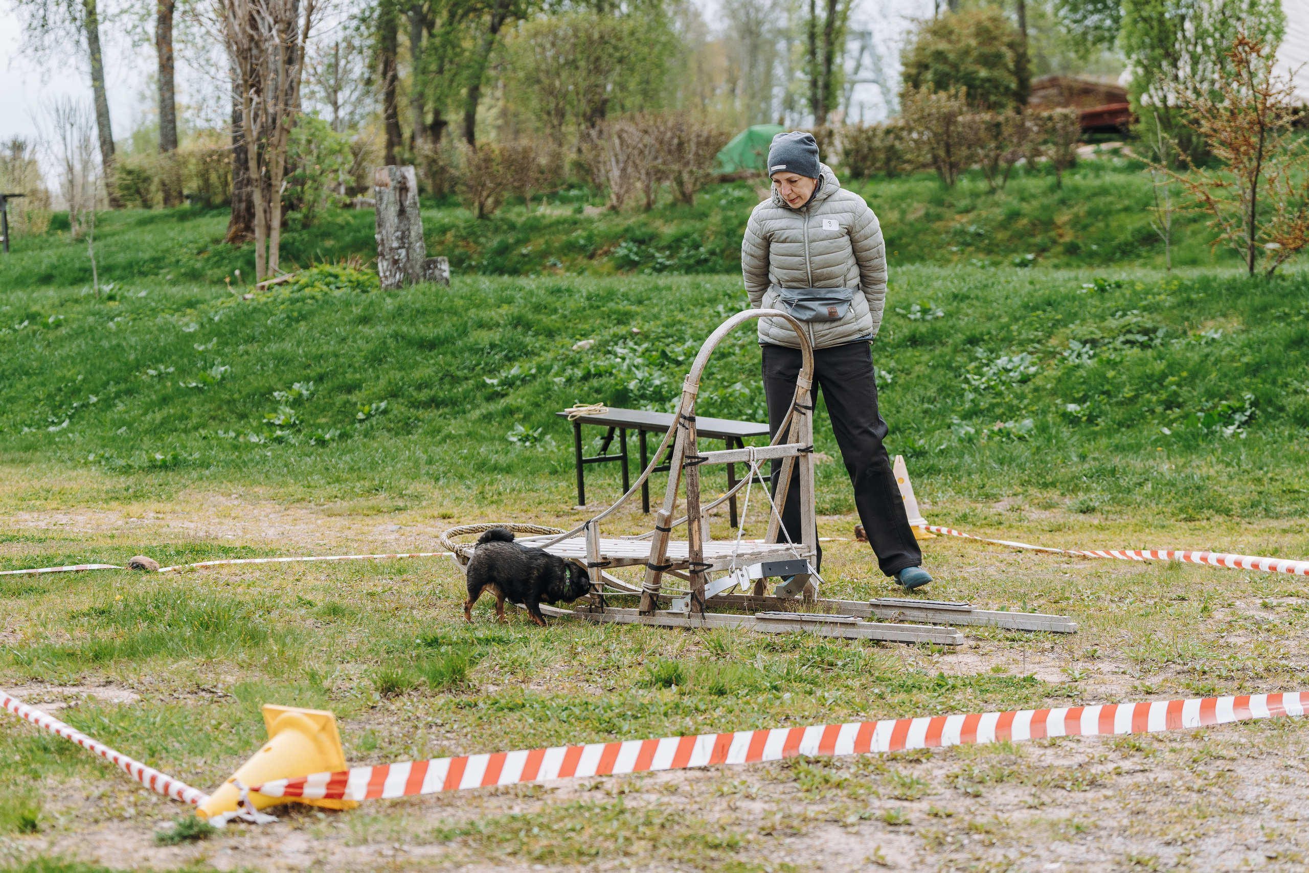 Соревнования по ноузворку в Лосево. Фотограф анималист в Спб недорого Олеся Майорова