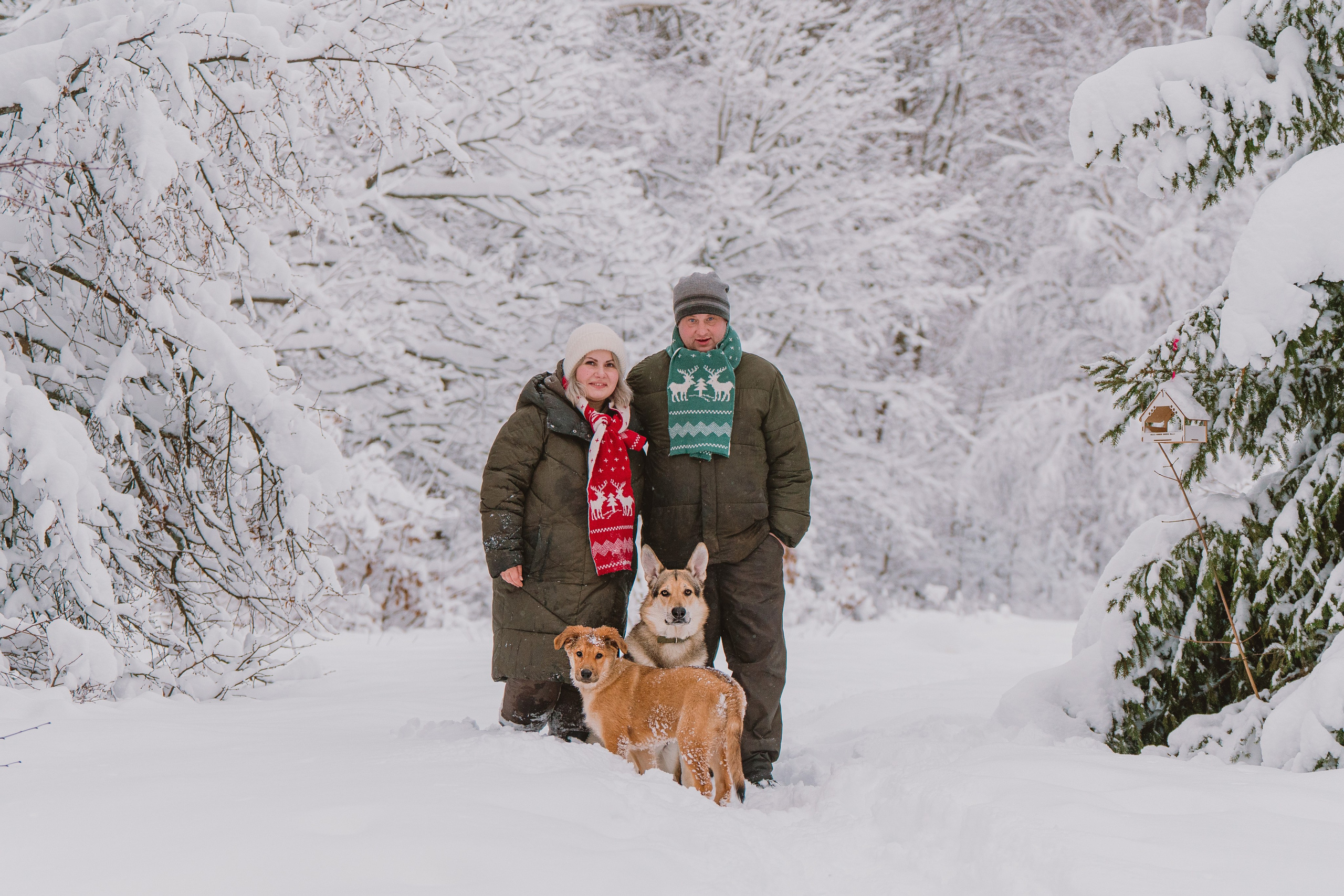 Фотосессия с питомцами на природе. Фотограф анималист в Спб недорого Олеся Майорова