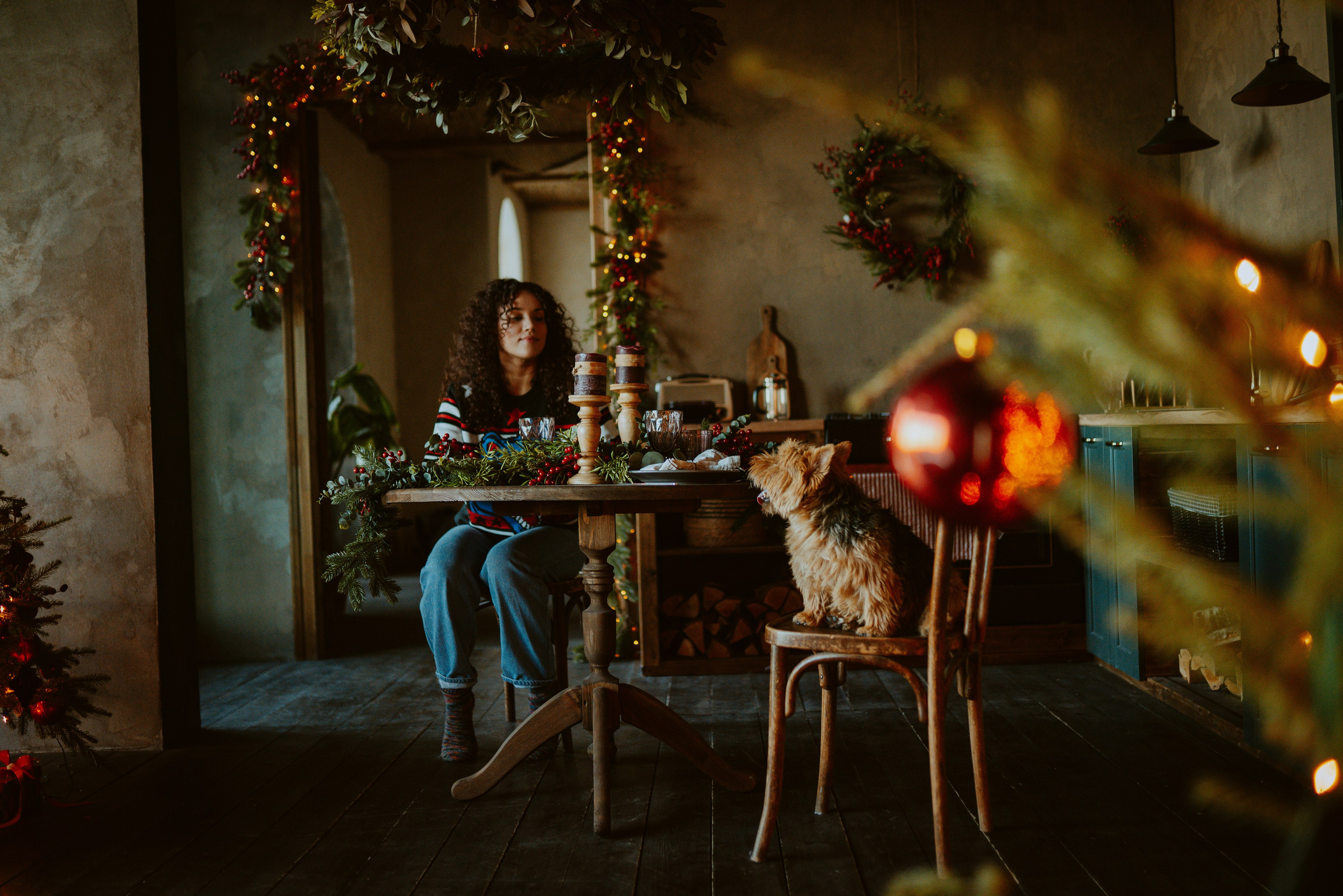 Фотосессия с собакой в студии. Фотограф анималист в Спб недорого Олеся Майорова