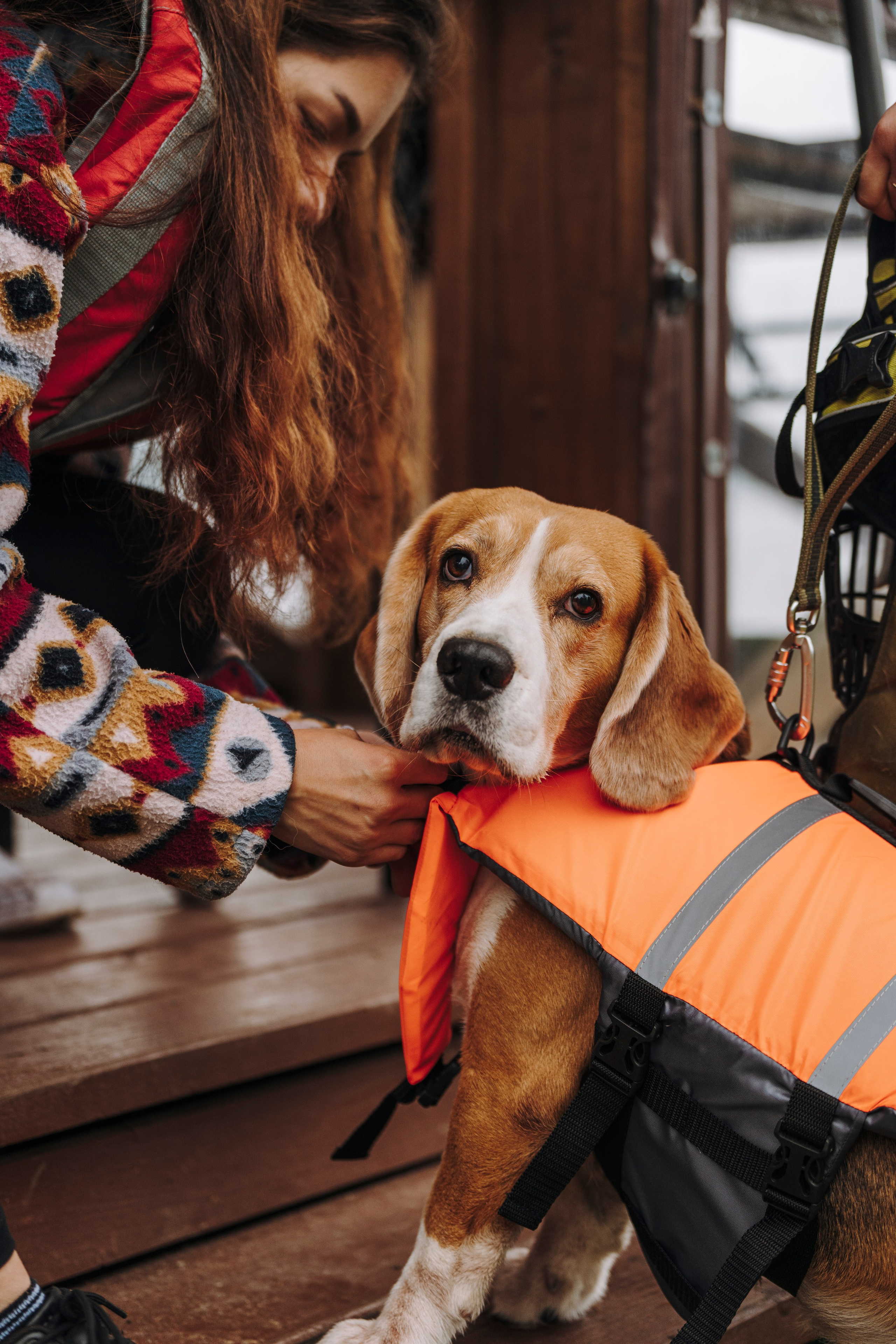 Катание на сапах с собаками. Фотограф анималист в Спб недорого Олеся Майорова