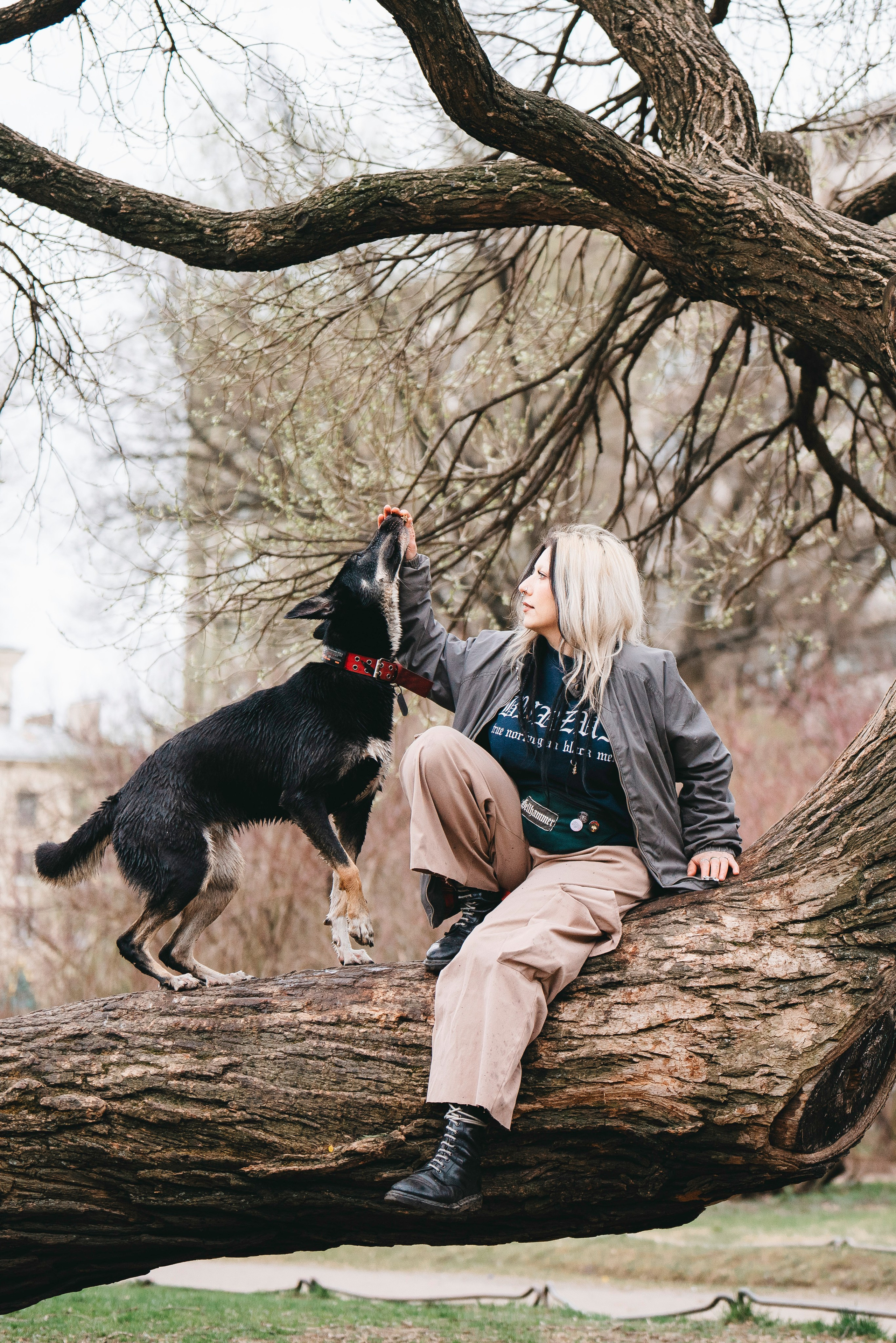 Эля и Шиза. Фотограф анималист в Спб недорого Олеся Майорова