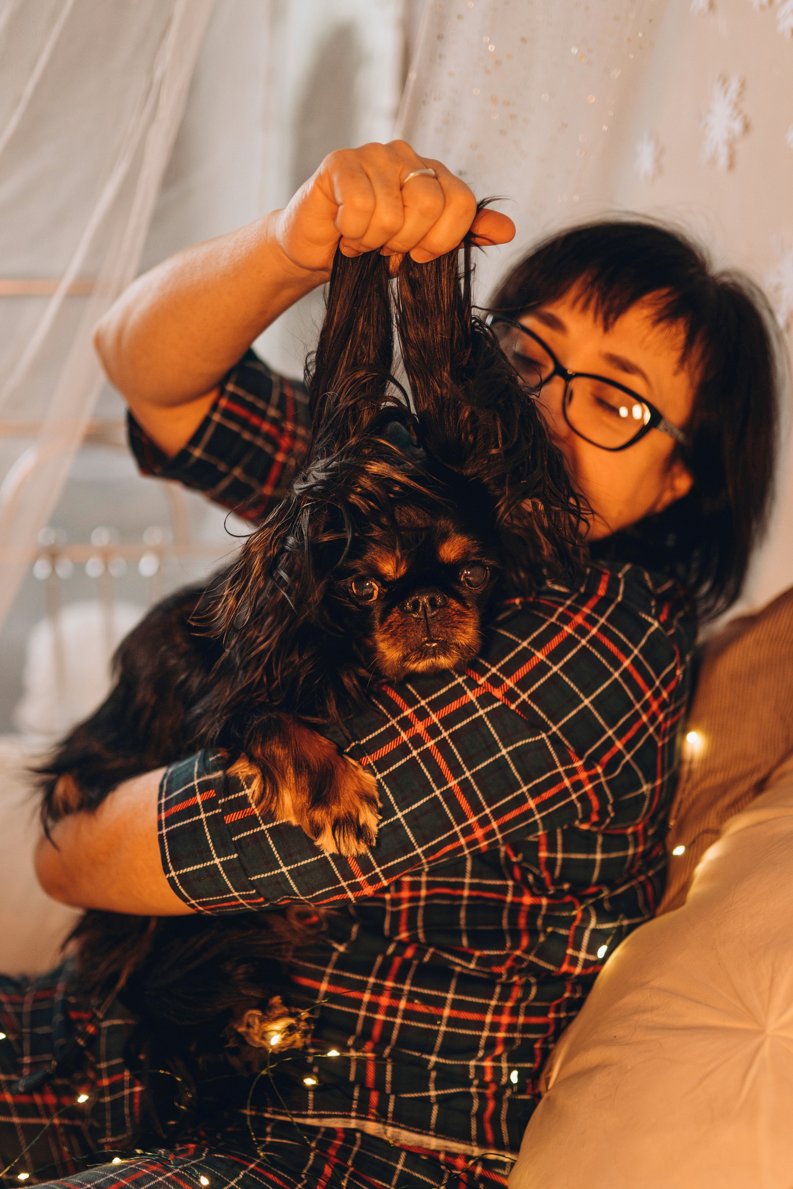 Ариша и её семья. Фотограф анималист в Спб недорого Олеся Майорова