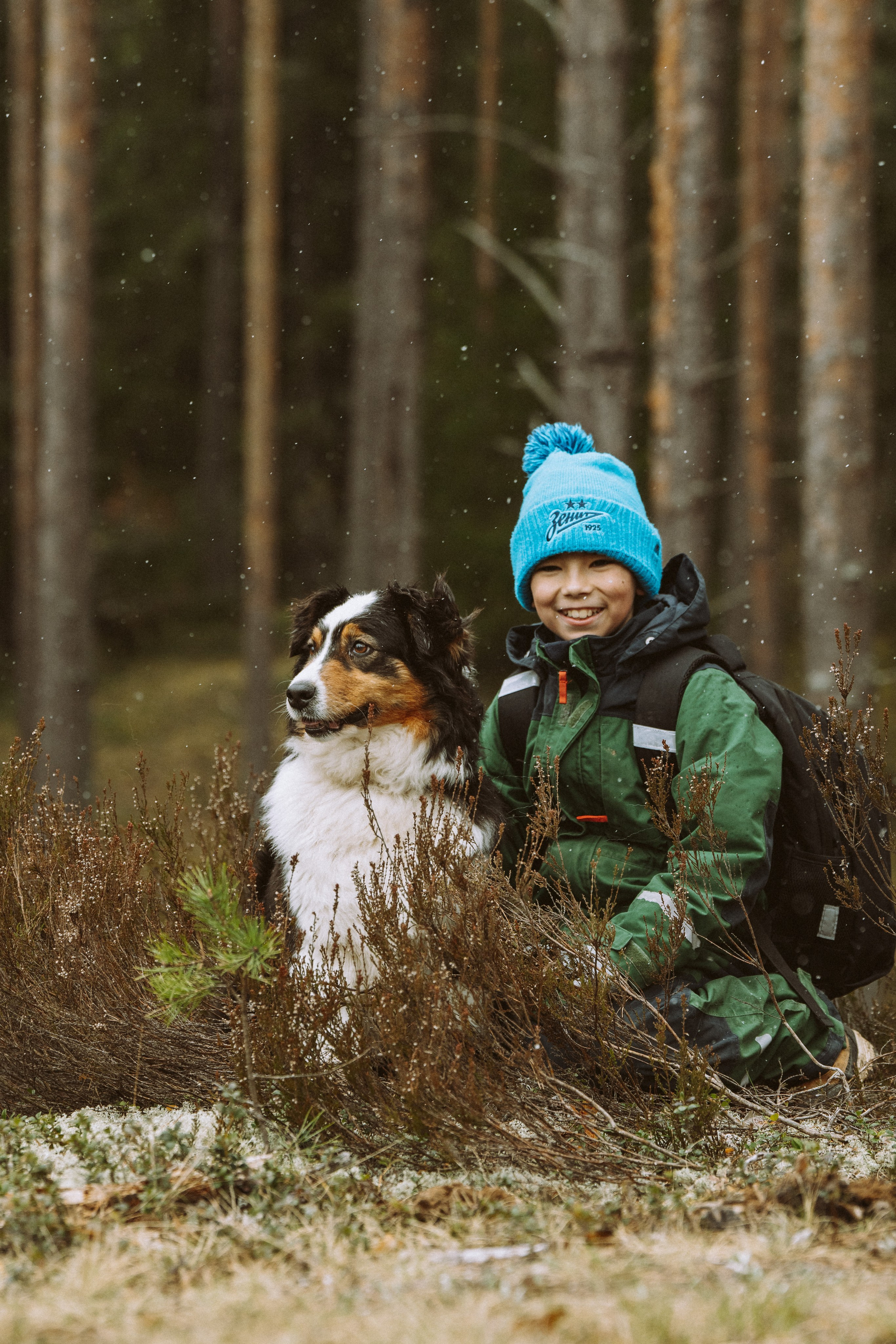 Дог трекинг к финскому хутору. Фотограф анималист в Спб недорого Олеся Майорова