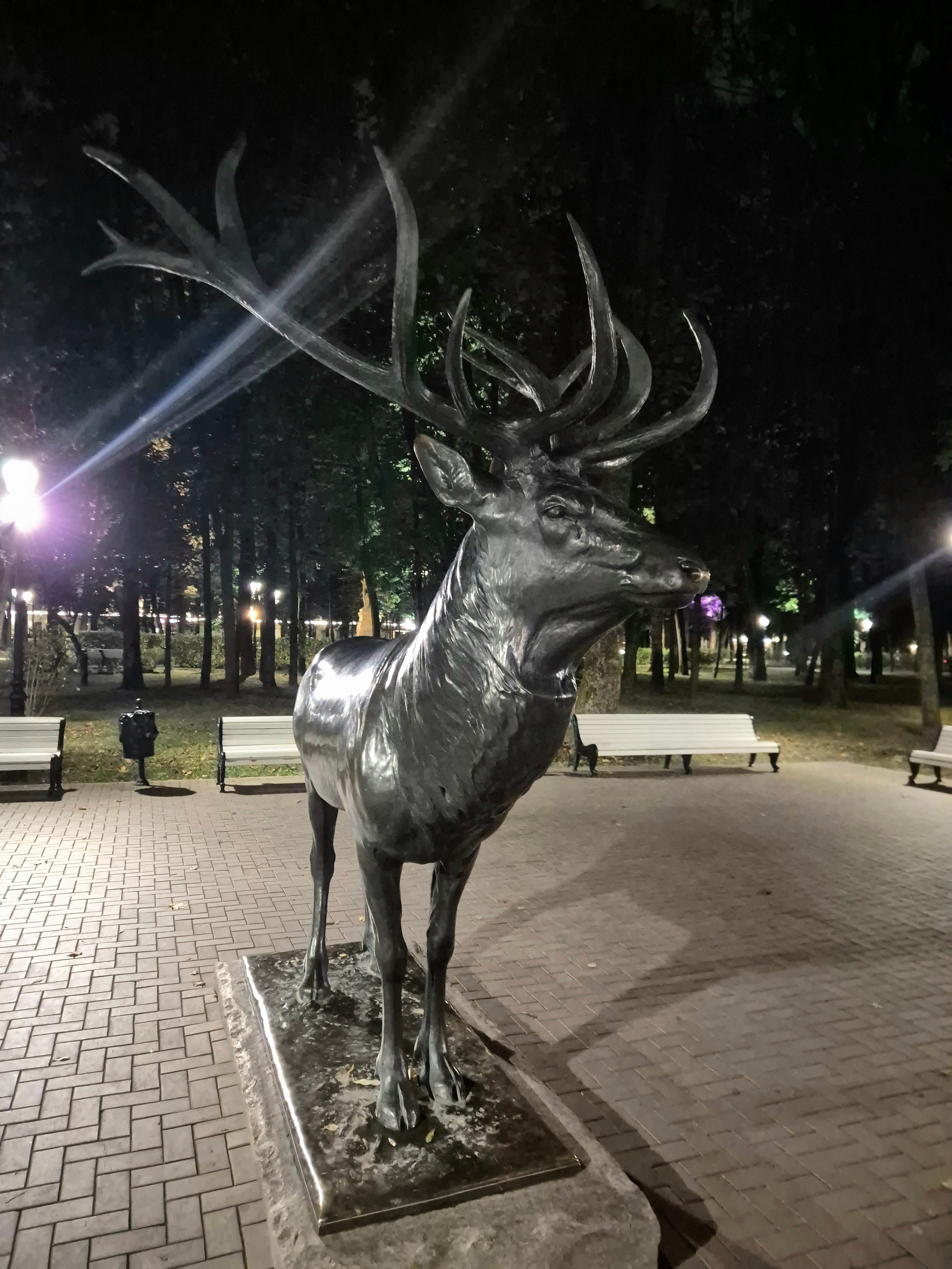 Трофейный олень, вывезенный из Германии в 1945 г. в дар советским детям