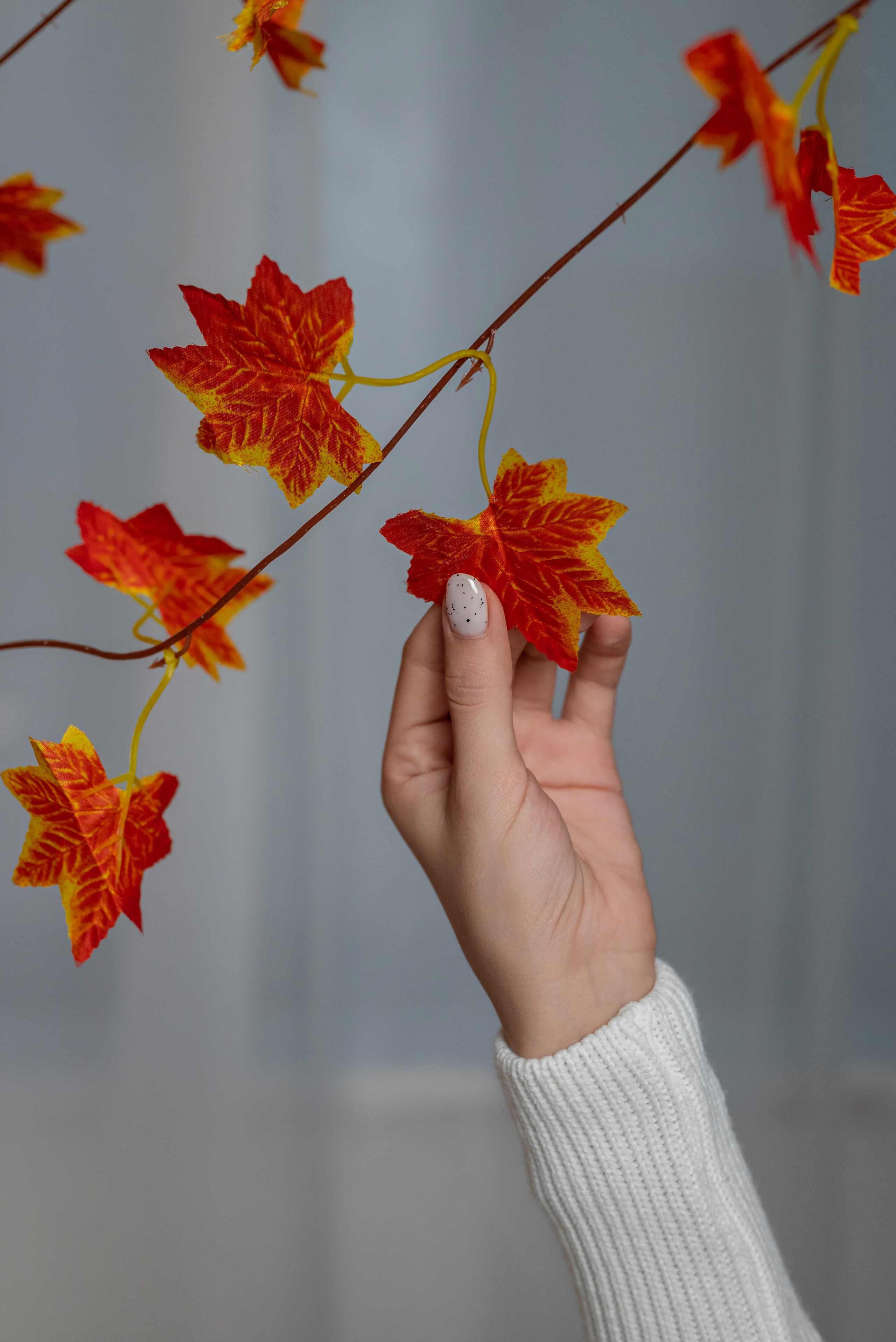 Фотопроект *Тёплая осень*. Фотограф в городе Салават
