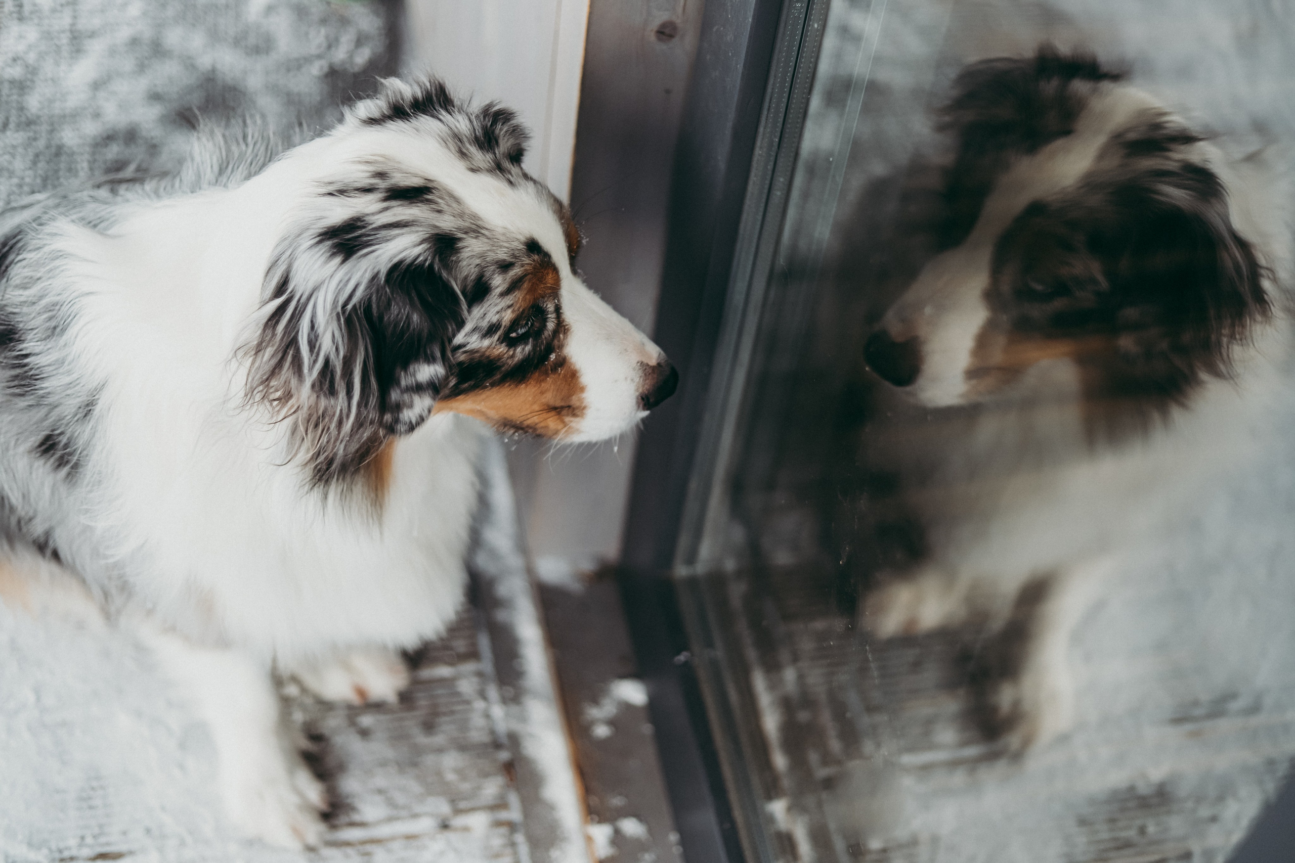Инна и Вера. Фотограф Москва и Санкт-Петербург