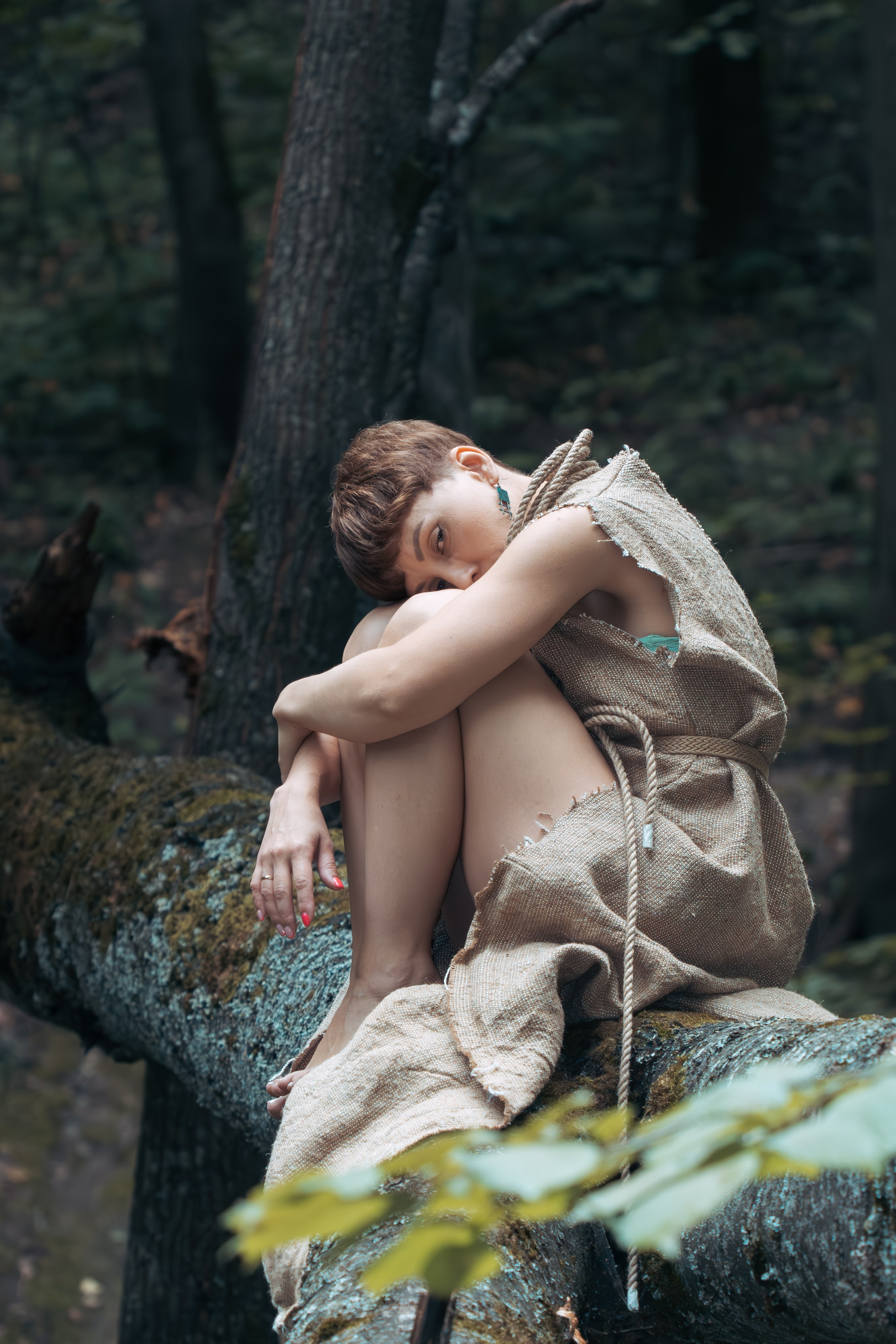 Одинокая девушка на дереве