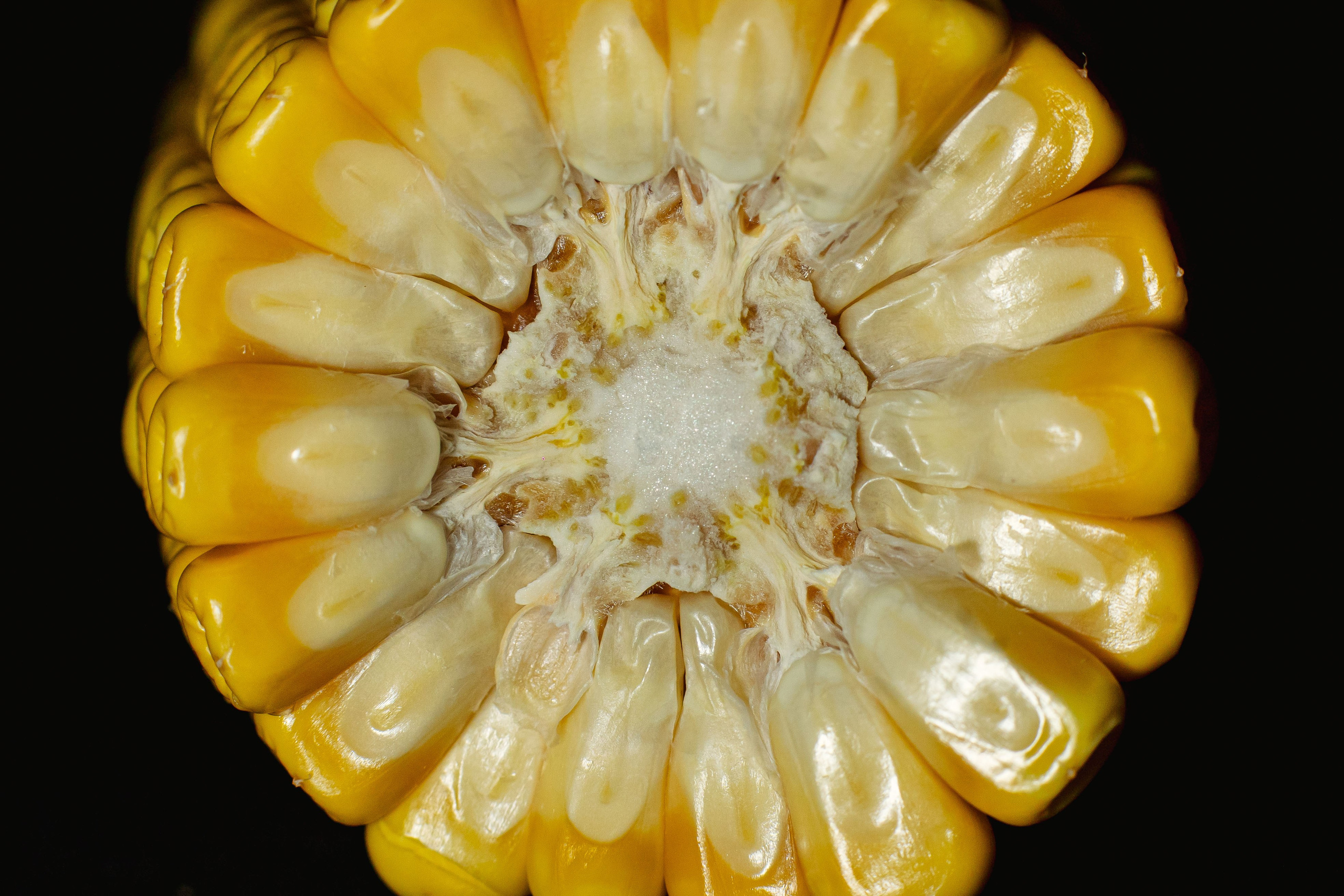 Коммерция. Портретный и событийный фотограф в Барнауле, Москве, Новосибирске