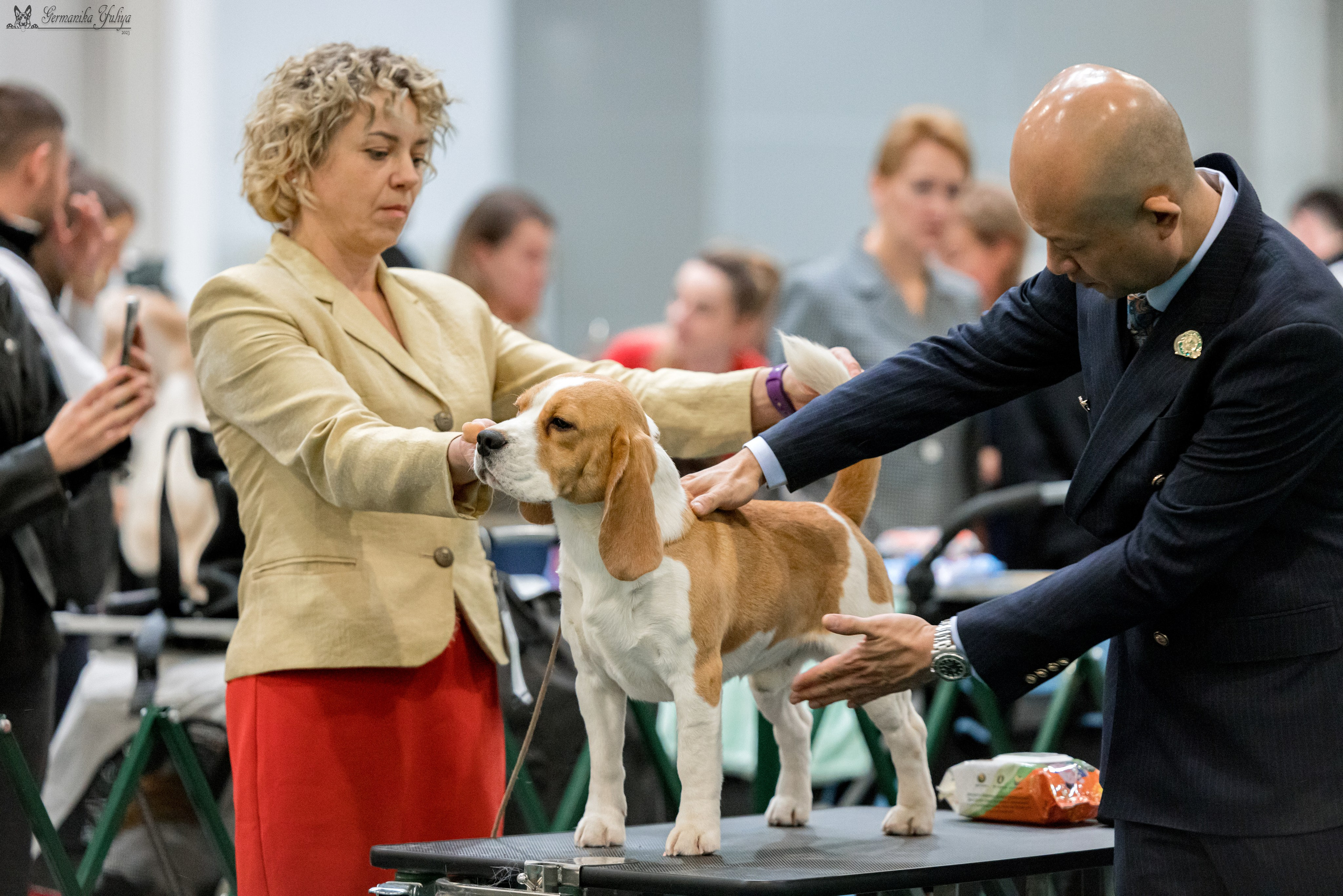 Сфера 29.10,Крокус 4.11,Сфера 12.11.2023. Фотограф-анималист Юлия Германика