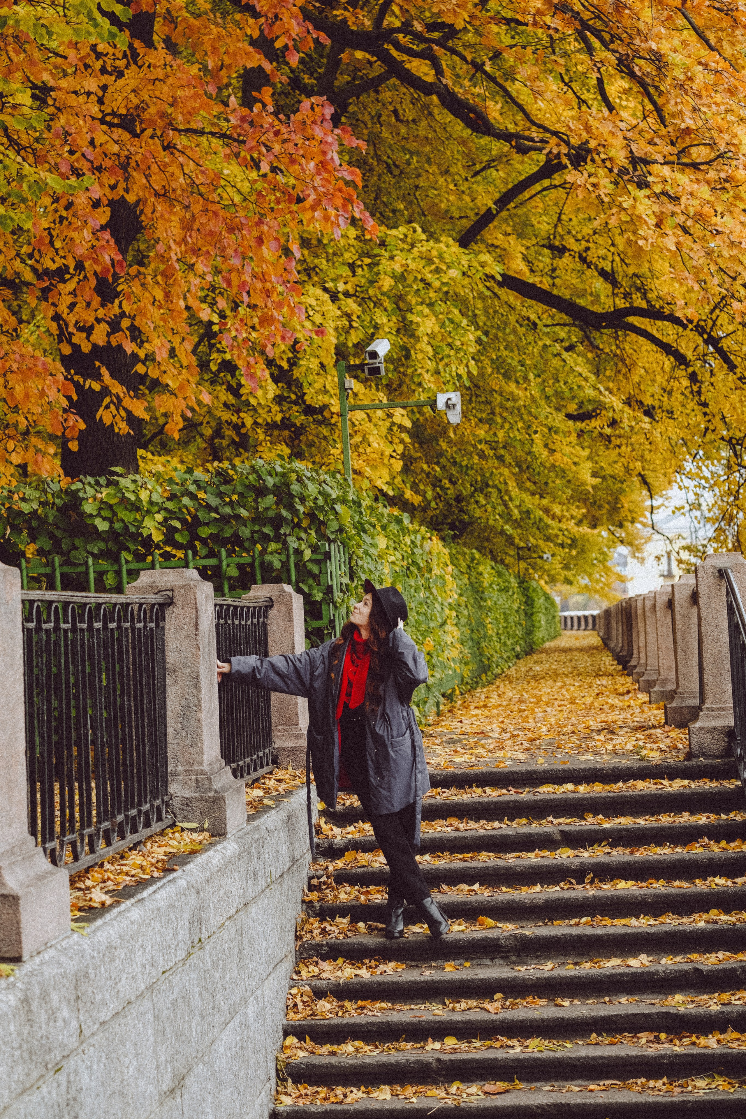 Осень. Профессиональный фотограф, Санкт-Петербург — Виктория Богомолова