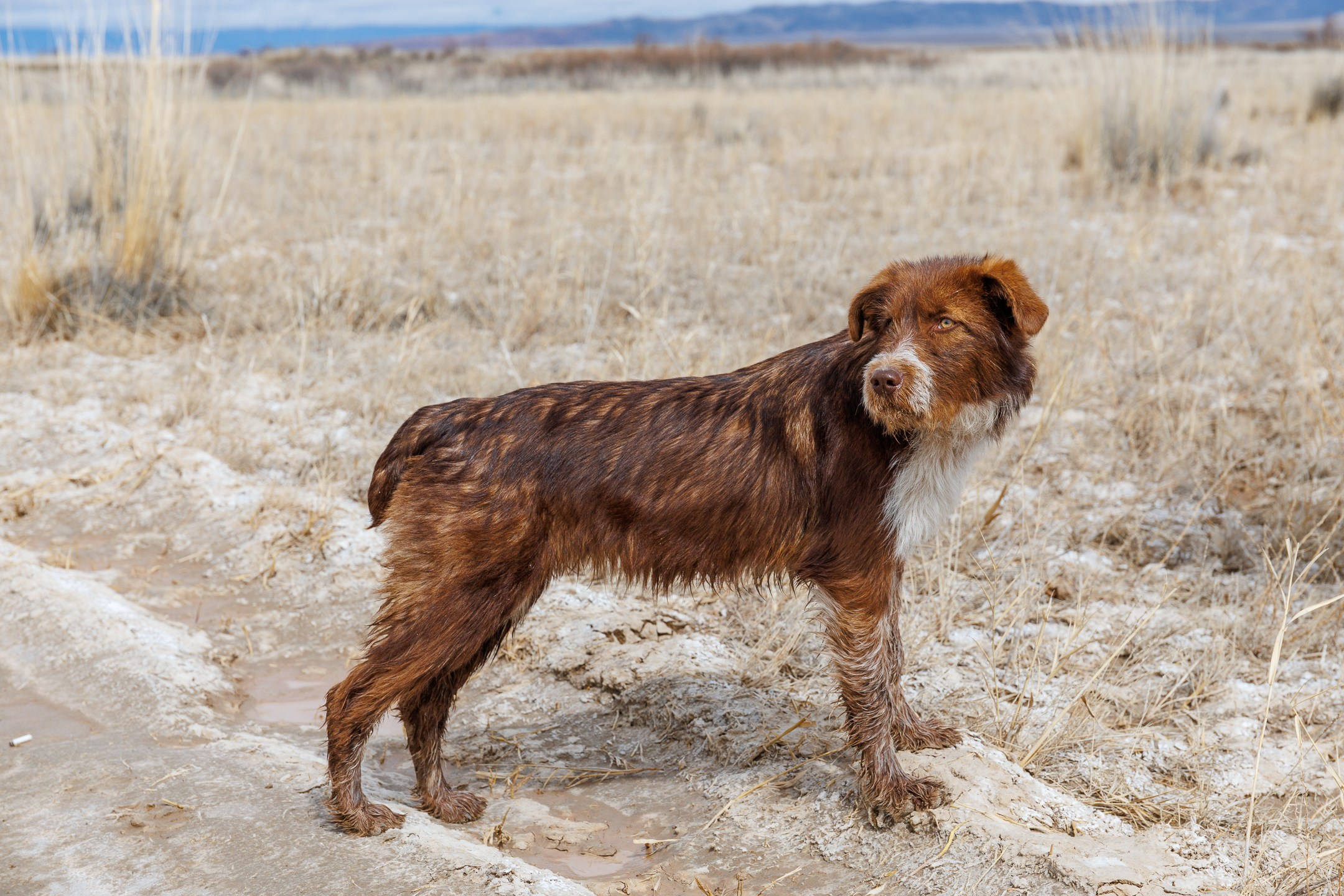 Фотосессия на поющем бархане национальный парк Казахстана Алтын Эмель. Dmitriigoliapov.ru