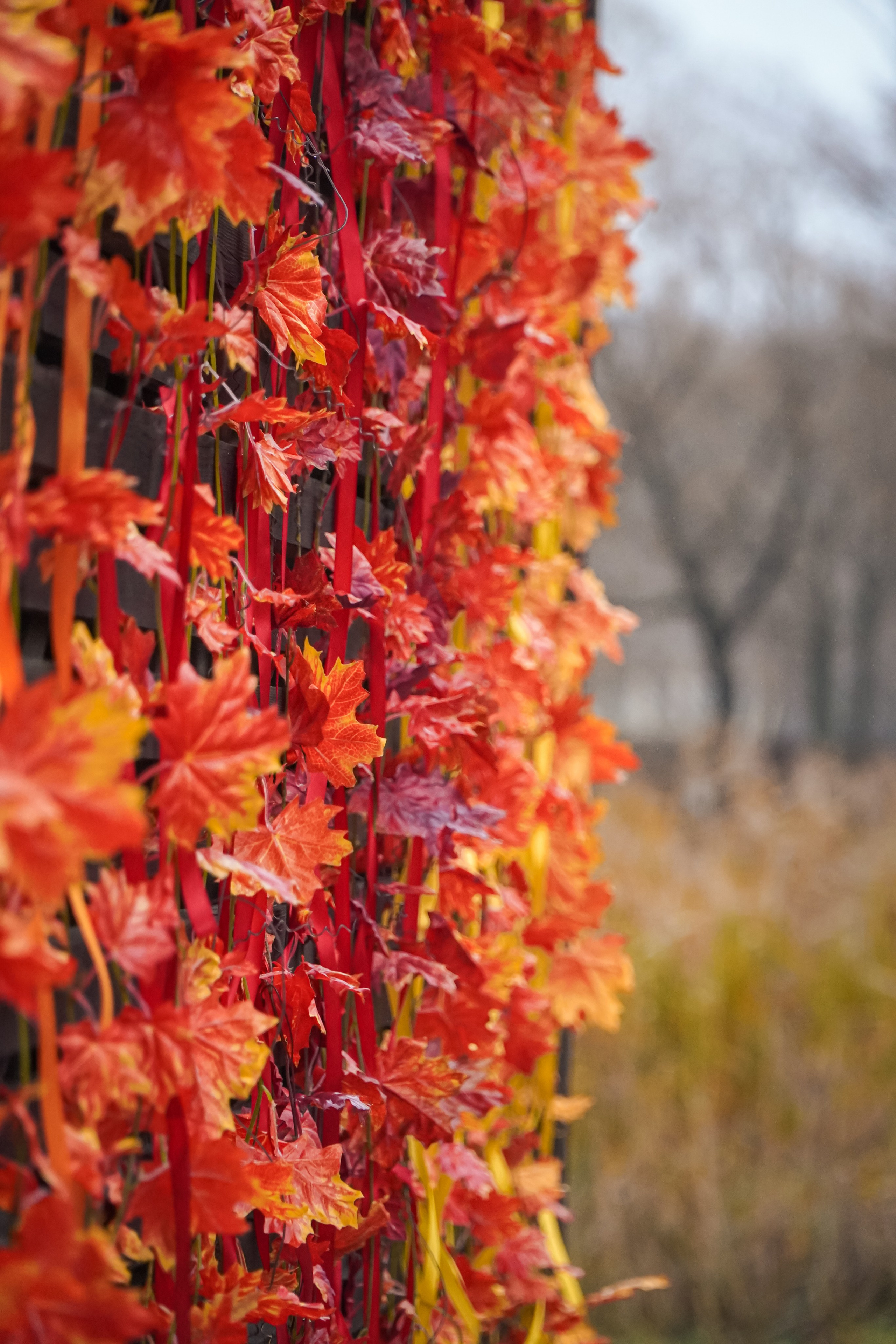 5 вёрст Реутов 16.11.2024. Роман Капилюшов. Бег. Фото. Видео. г. Люберцы