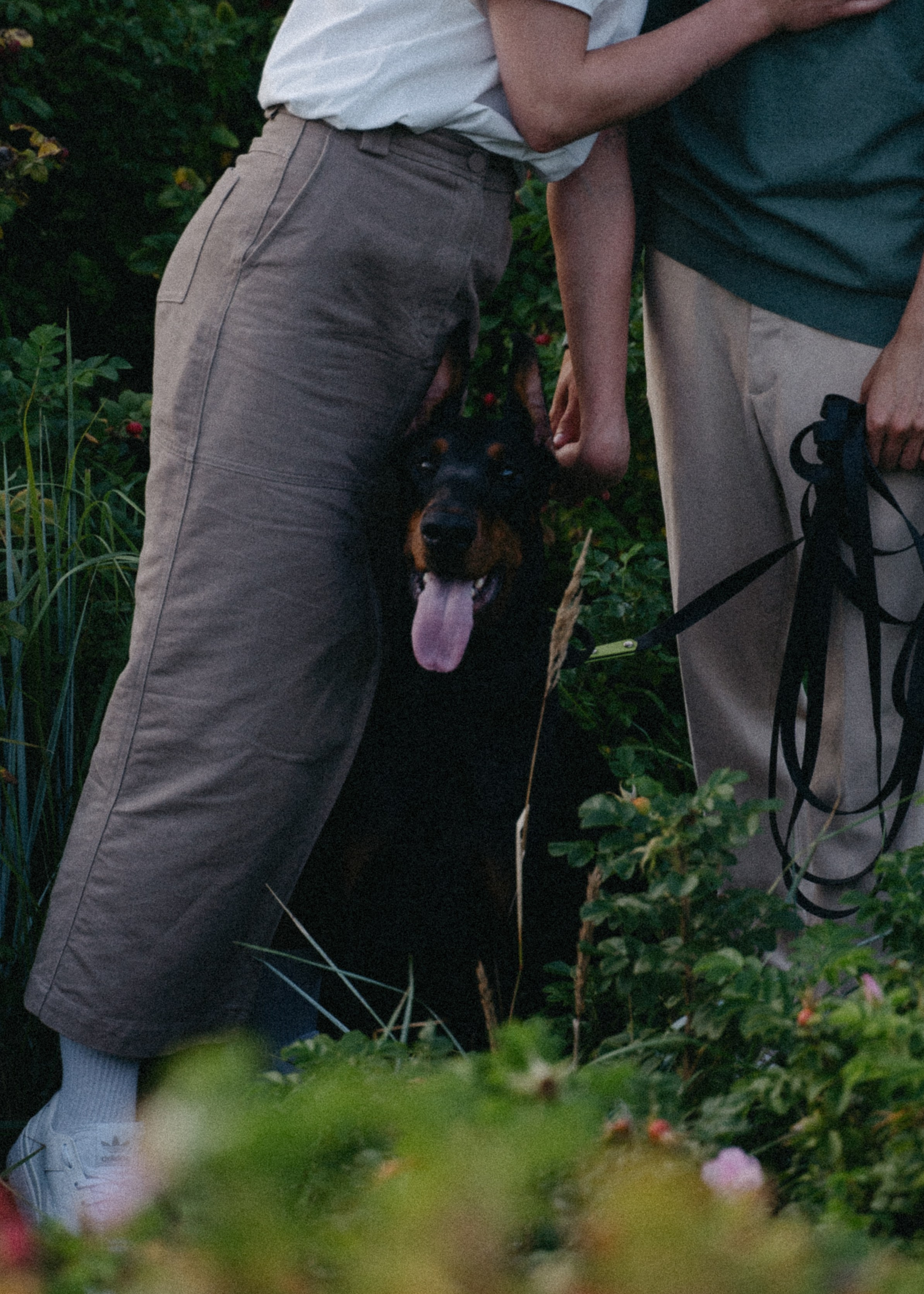 Нестер и Кристина. Свадебный и семейный фотограф в Санкт-Петербурге Дмитрий Панин
