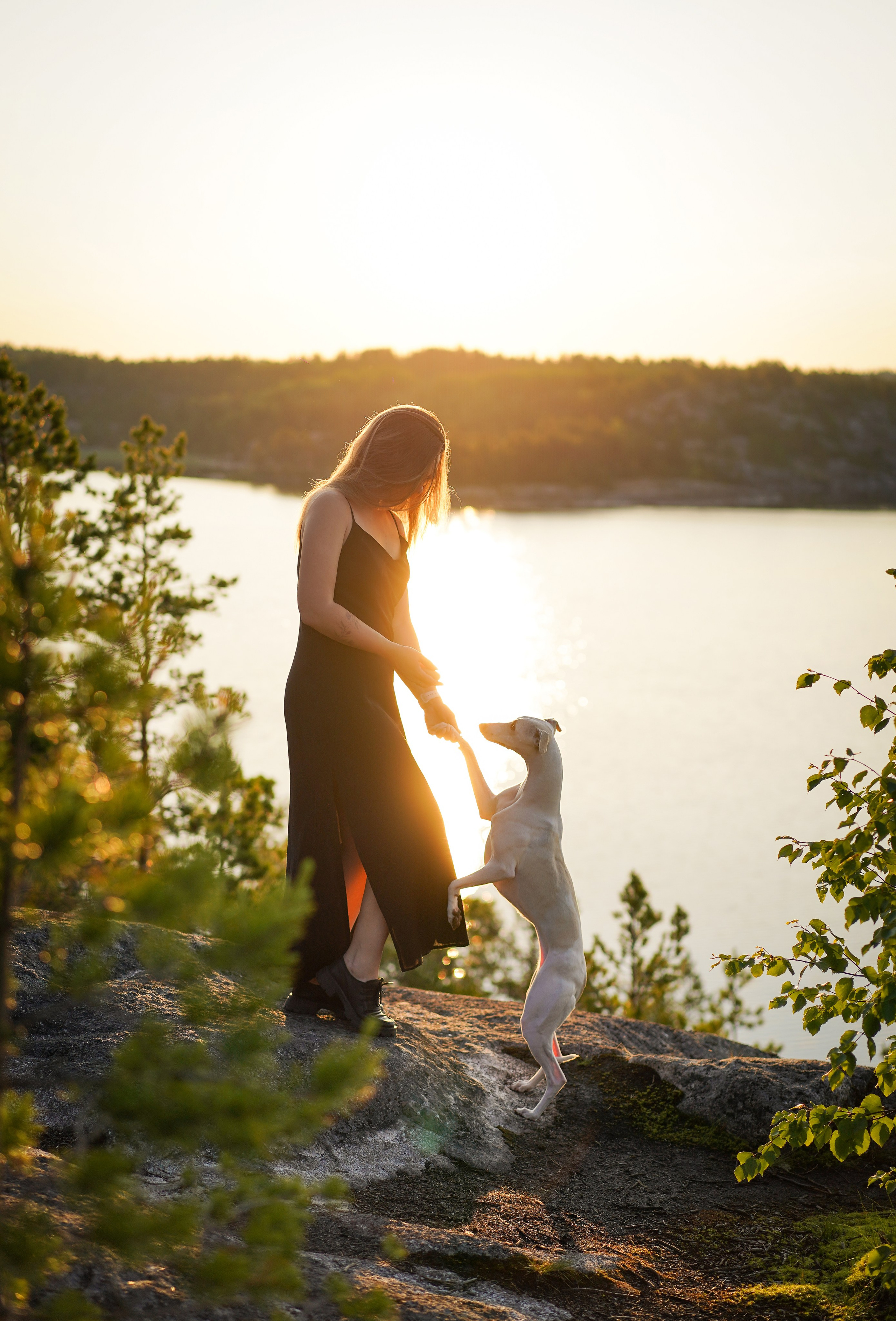 Даша Фифа Гага и Вениамина. Фотограф-анималист в Санкт-Петербурге Яна Мартынова