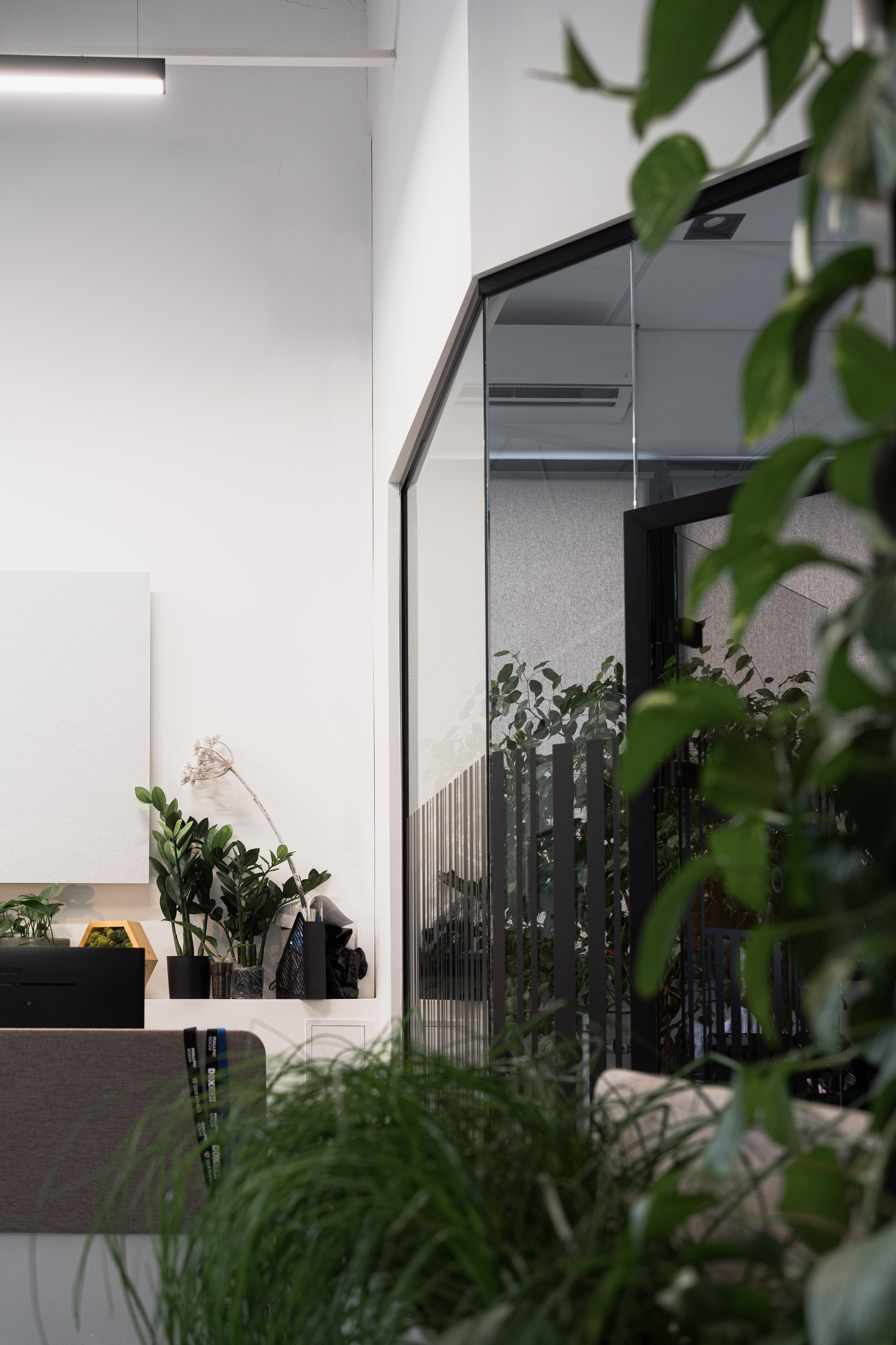 Terra. Елена Пашкевич, фотограф, Москва