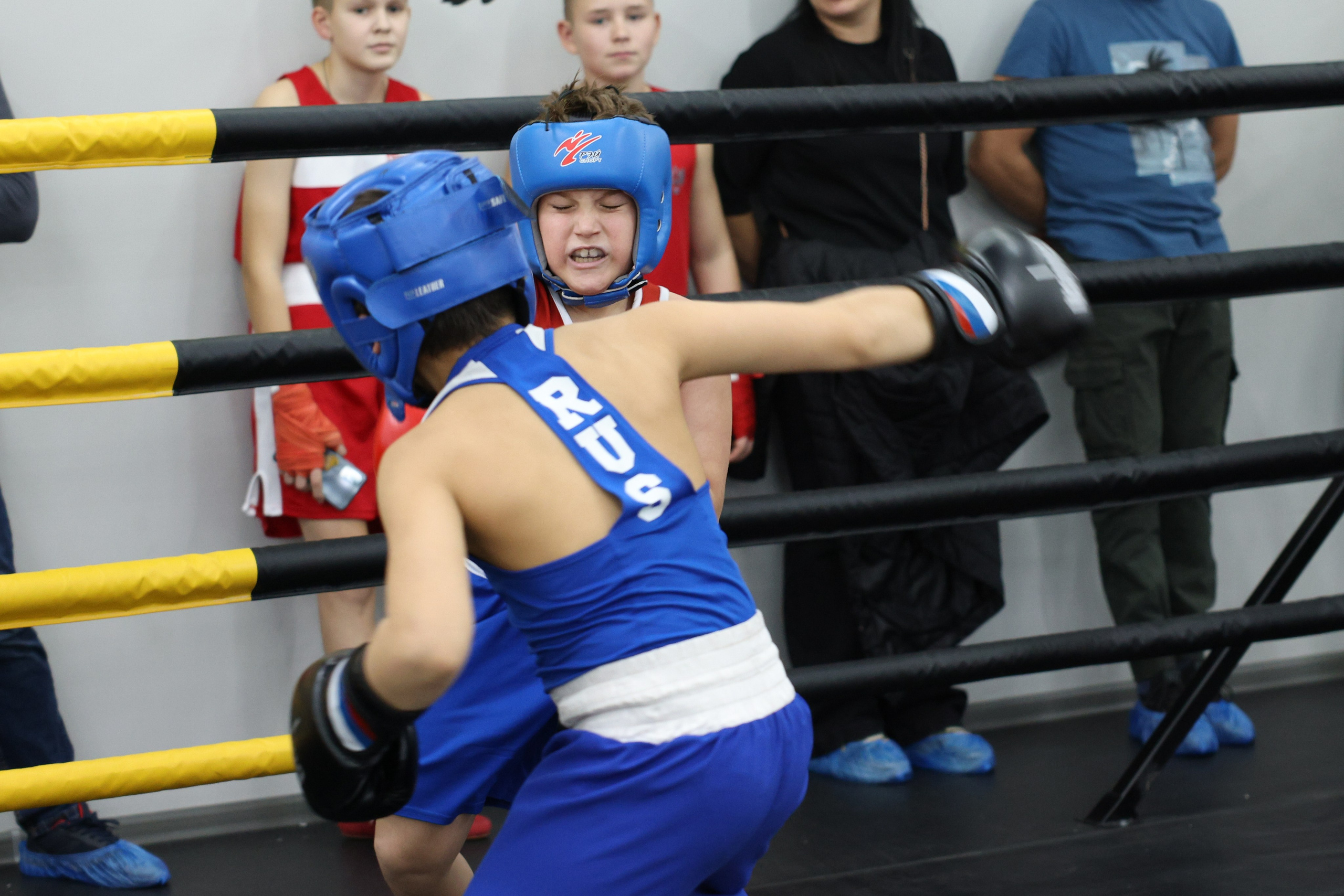 Открытый ринг «кубок ООО «ТЭК НеваСпецТяж». Фотограф Александр Заломаев