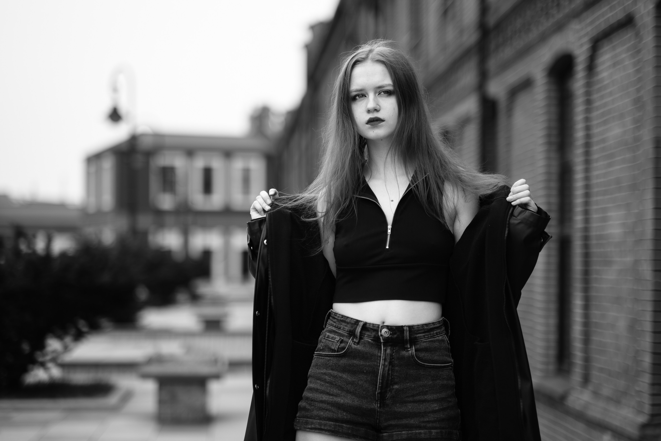 The grotesque. Aleksandr Schafft