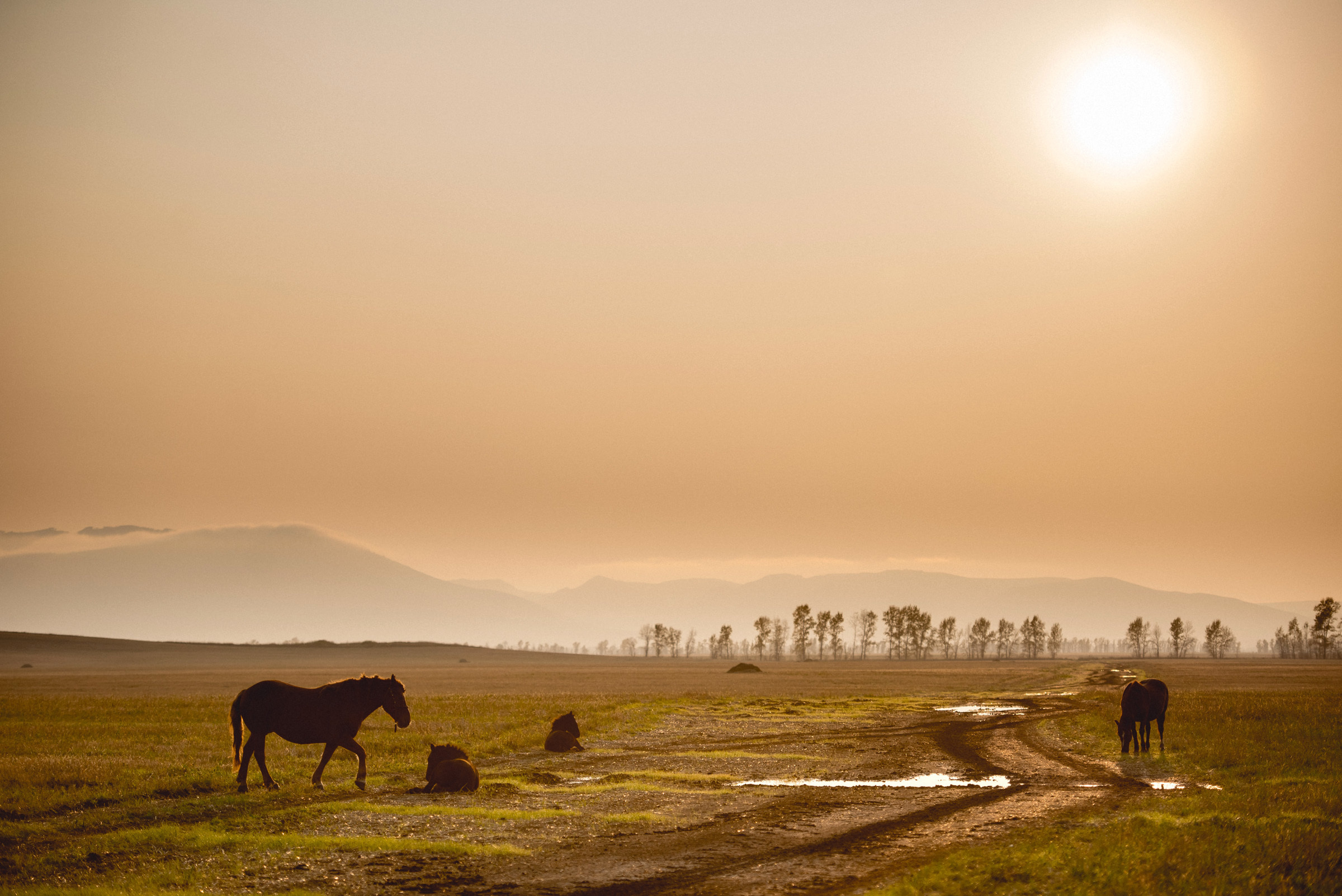 Осенняя фотосессия в Горном Алтае. Сергей Богомолов. Свадебный и семейный фотограф