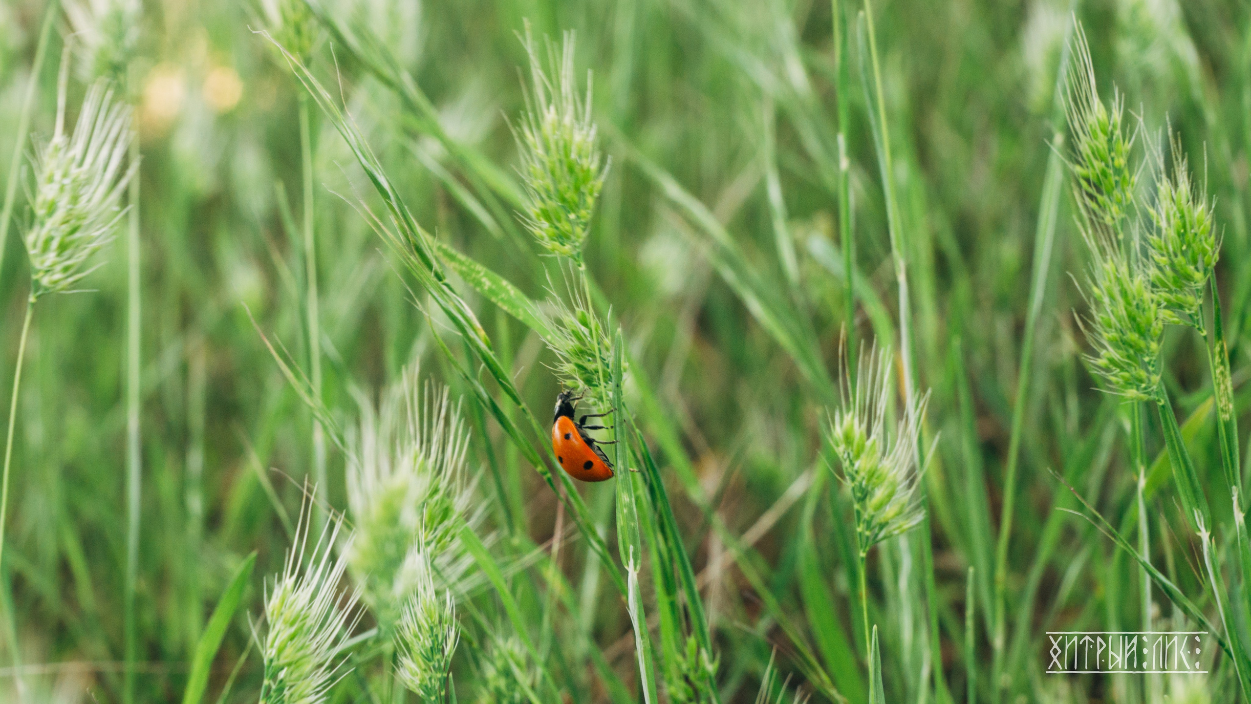 Кипр. Фотограф-путешественник Самойлов Максим «Sly Fox»