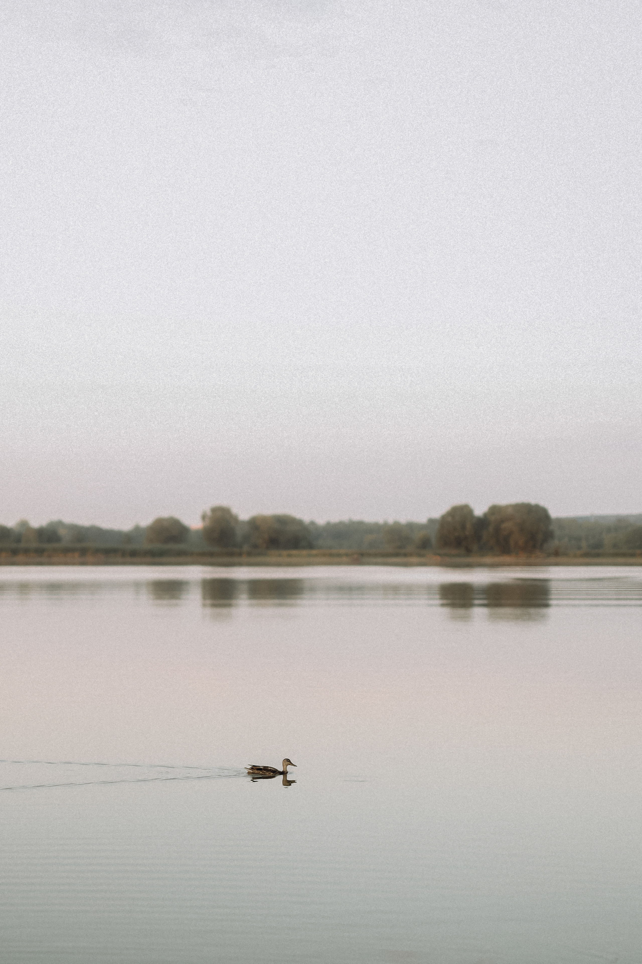 Прогулка у воды. Семейный и портретный фотограф из Казани