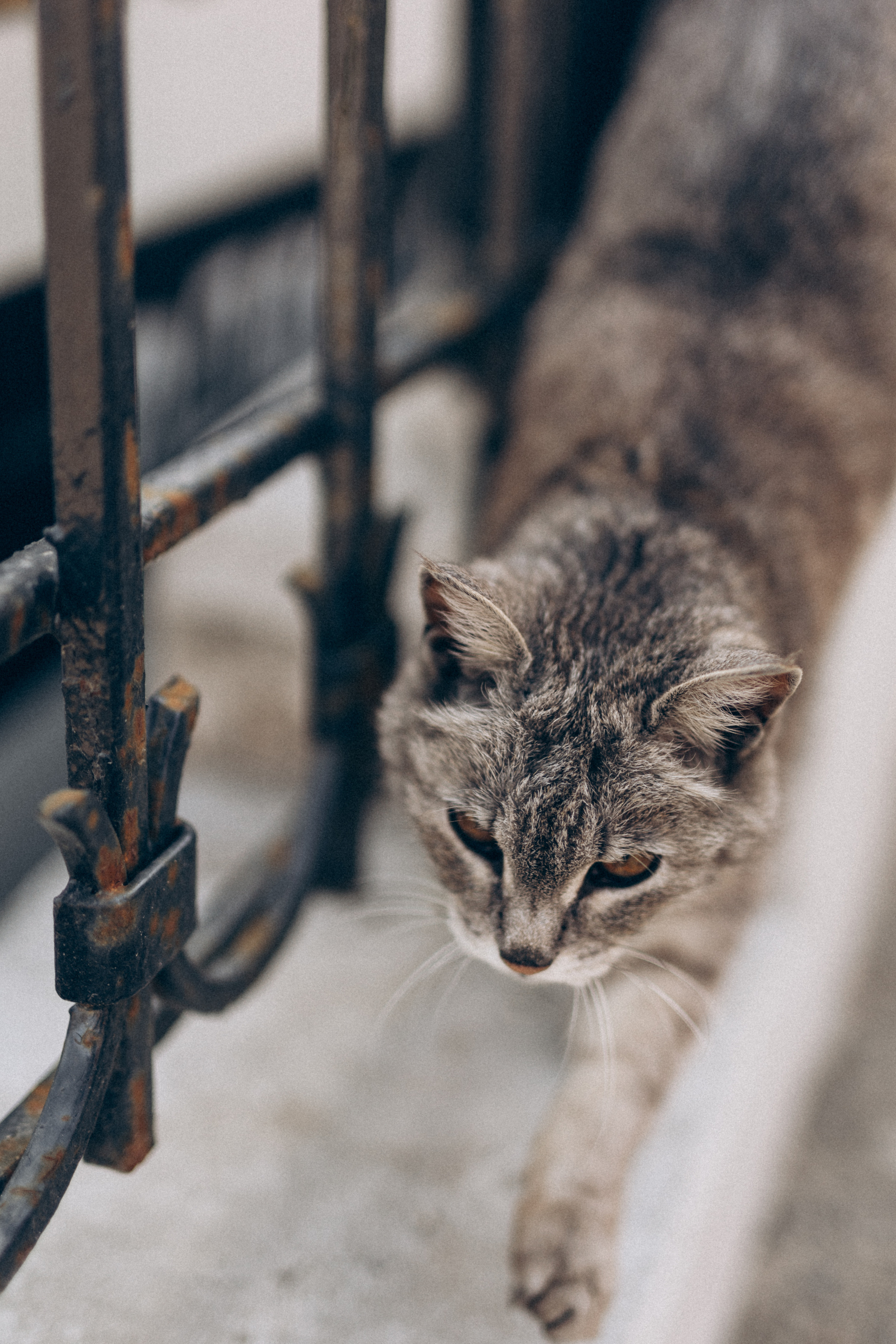 Прогулка по городу с Мариной. Семейный и портретный фотограф из Казани